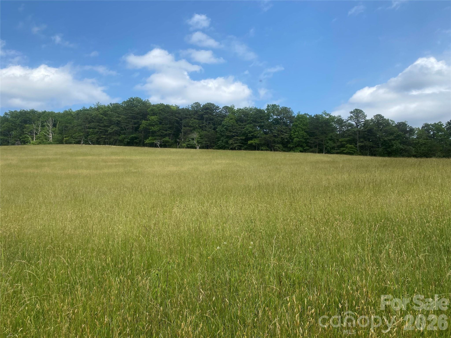 00 Summer Road #20.44 Acres - Photo 19