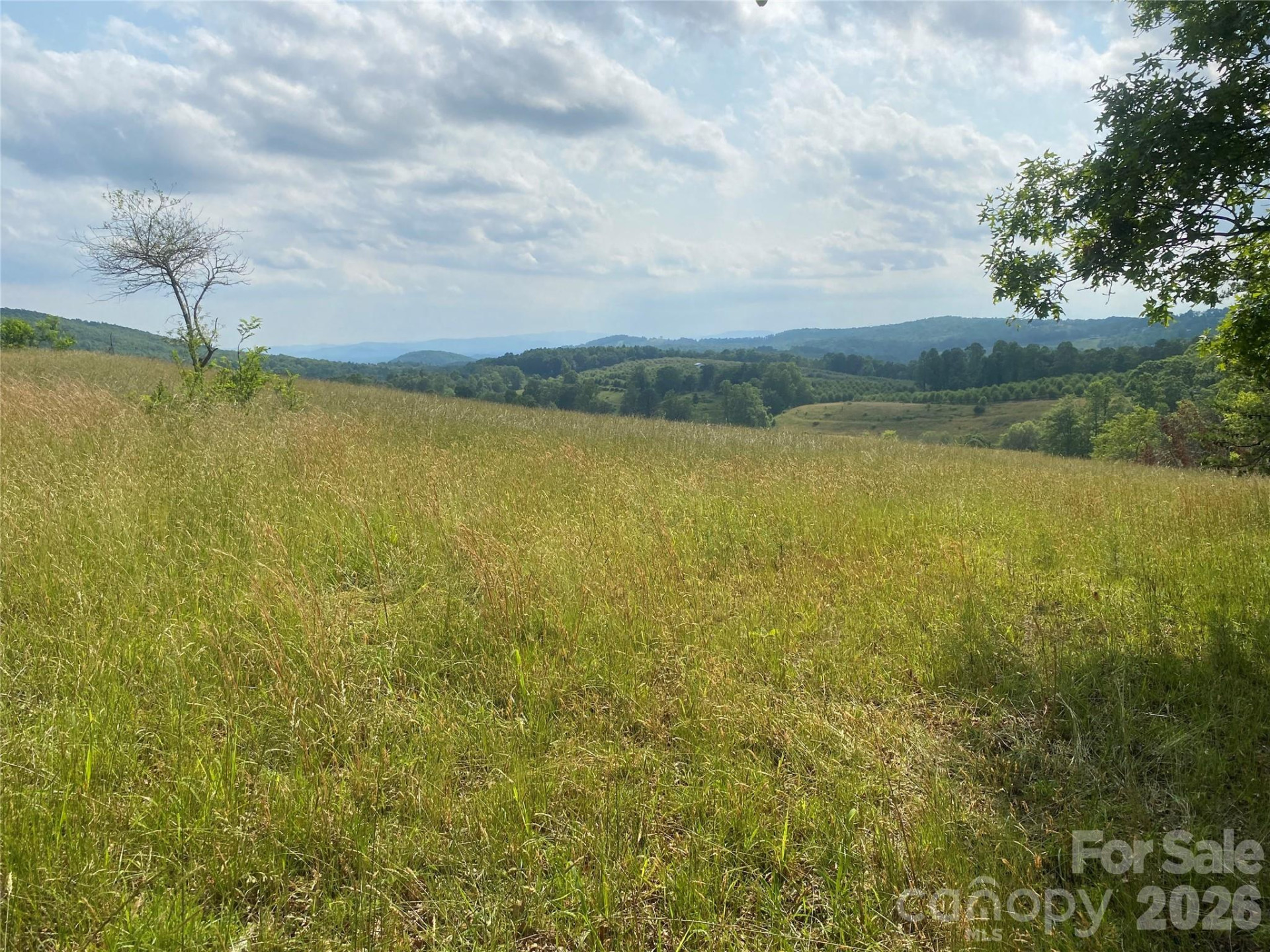 00 Summer Road #20.44 Acres - Photo 20