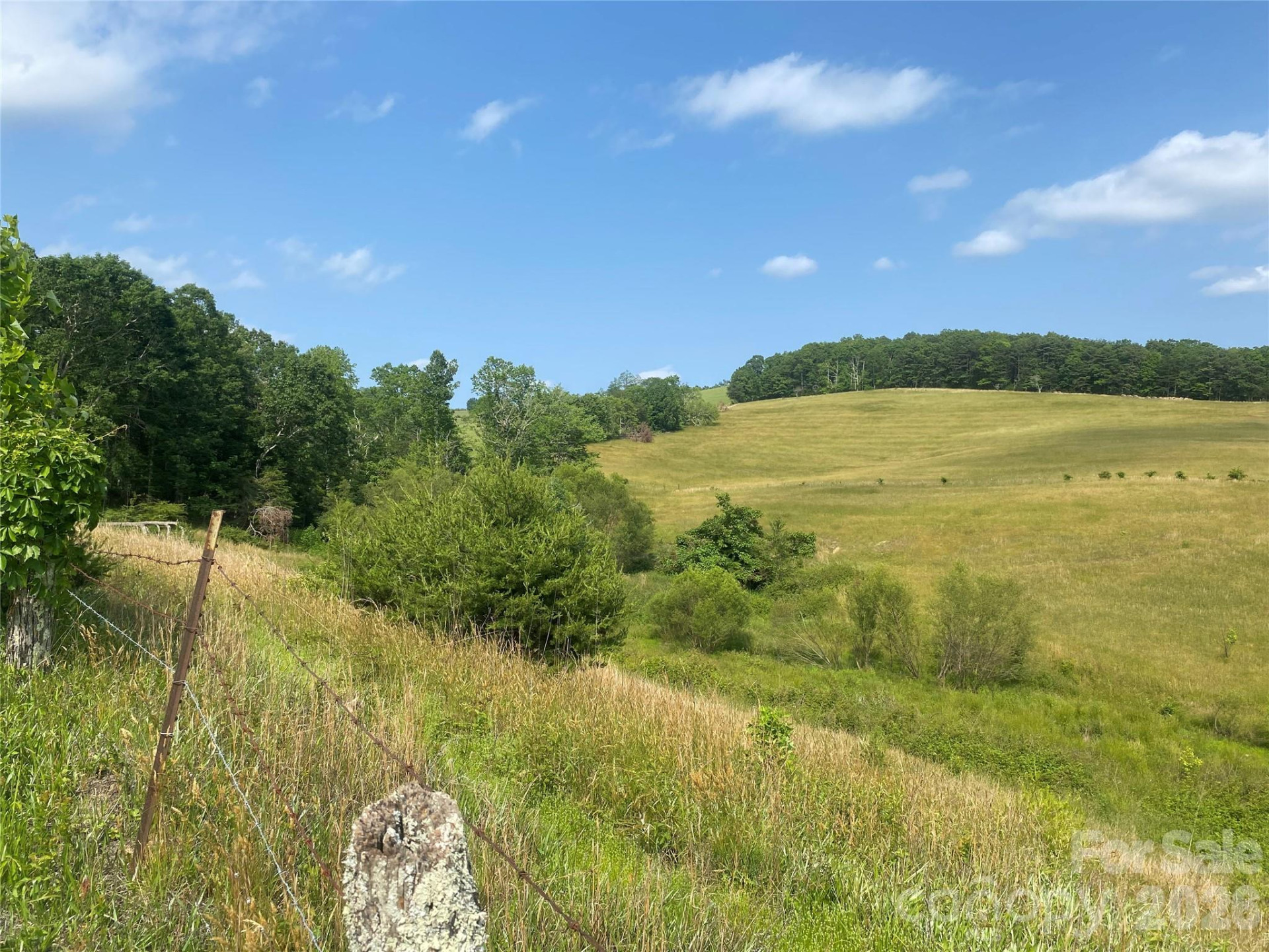 00 Summer Road #20.44 Acres - Photo 3