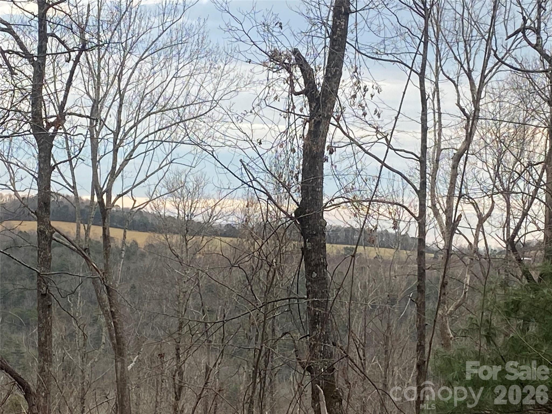 00 Summer Road #20.44 Acres - Photo 21