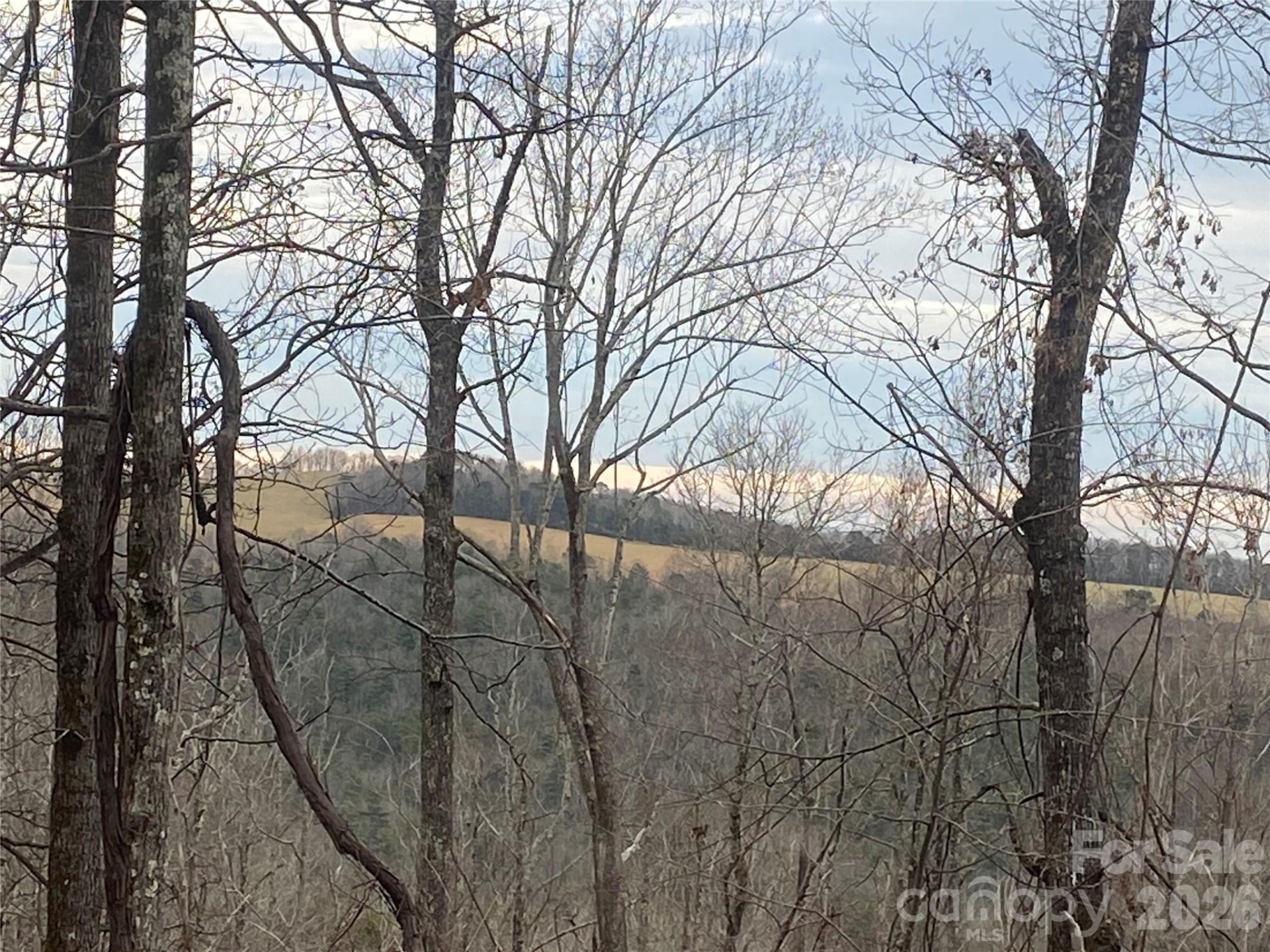 00 Summer Road #20.44 Acres - Photo 22