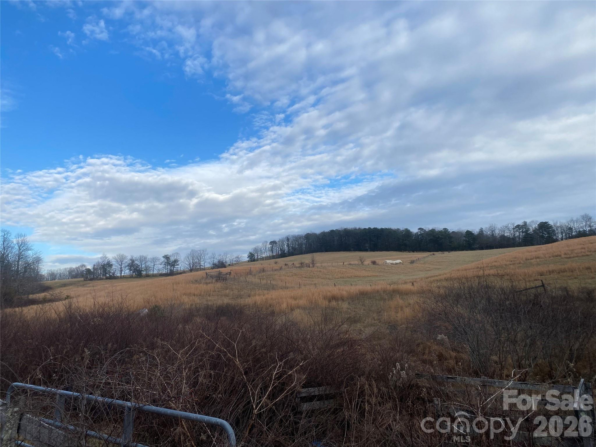 00 Summer Road #20.44 Acres - Photo 23