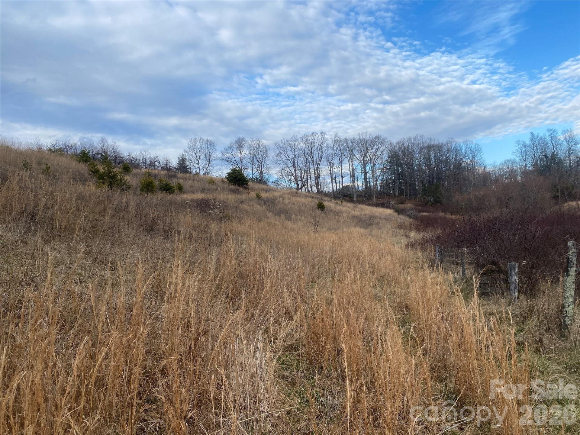 00 Summer Road #20.44 Acres - Photo 25