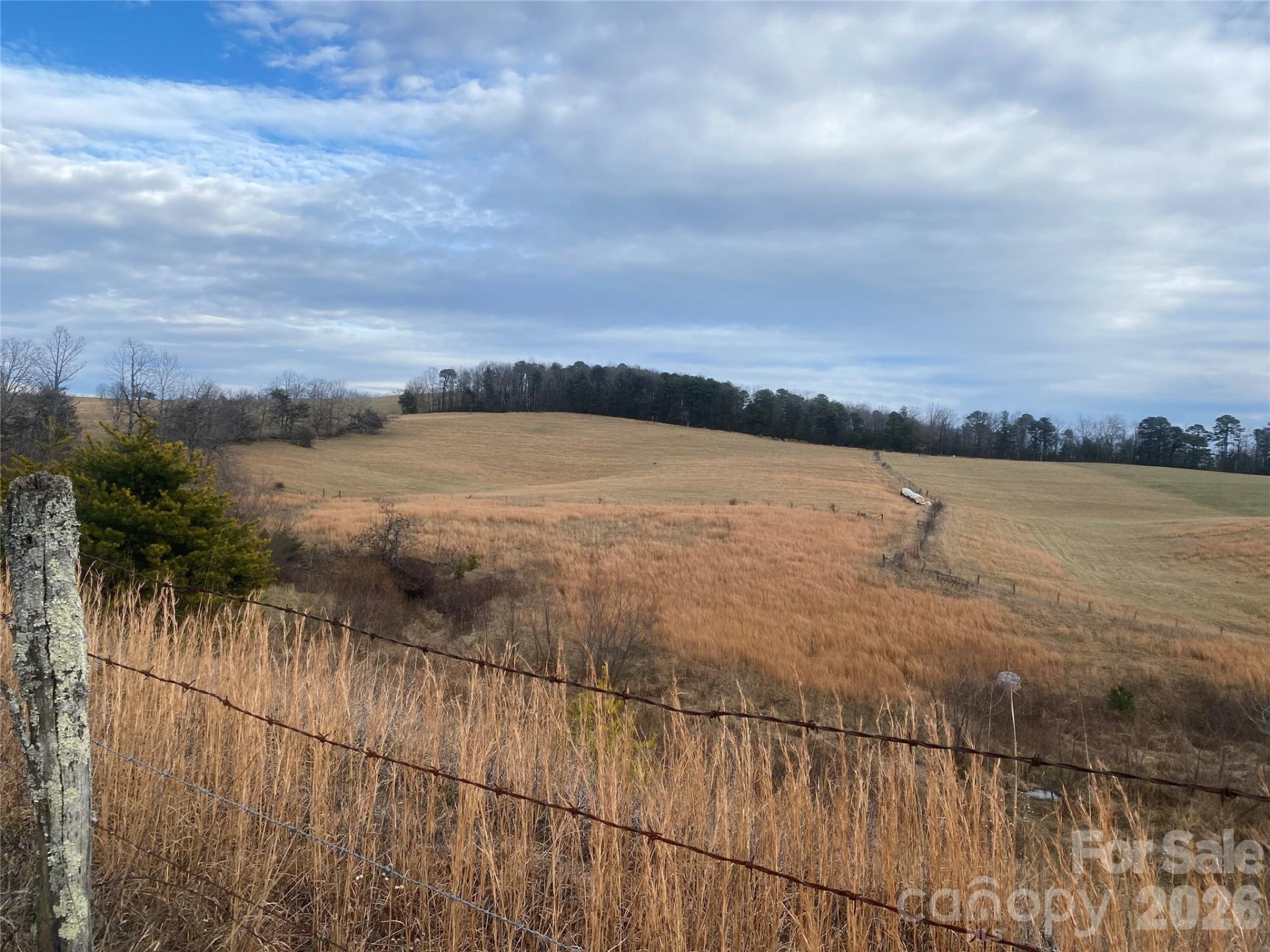 00 Summer Road #20.44 Acres - Photo 26