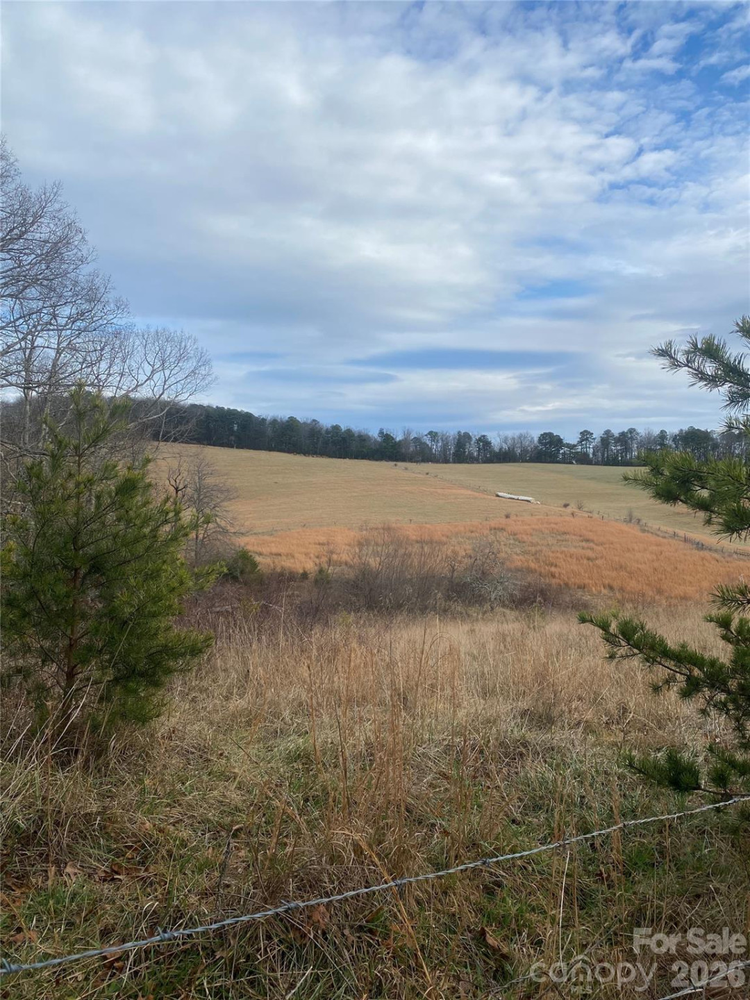 00 Summer Road #20.44 Acres - Photo 27