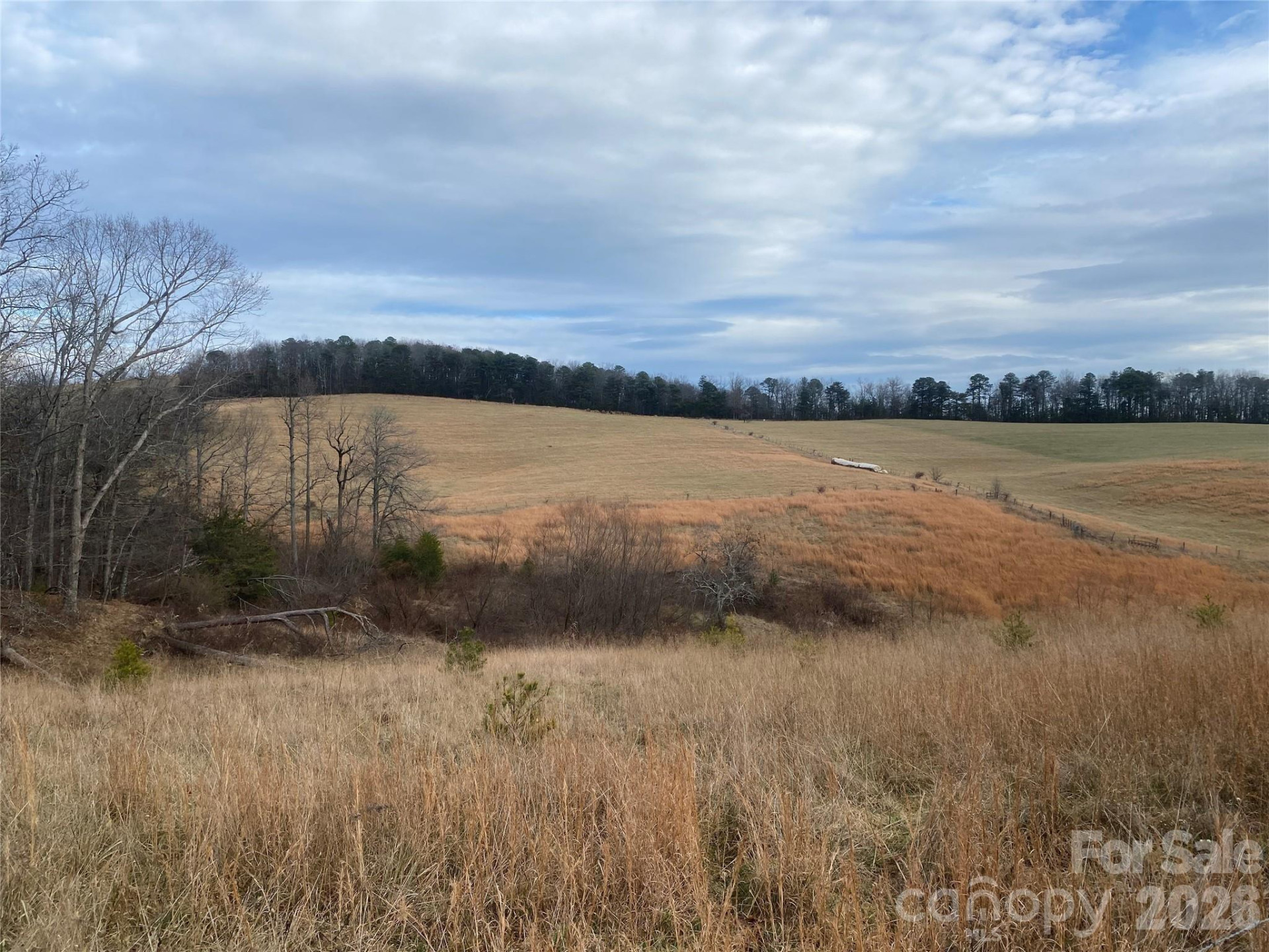 00 Summer Road #20.44 Acres - Photo 28