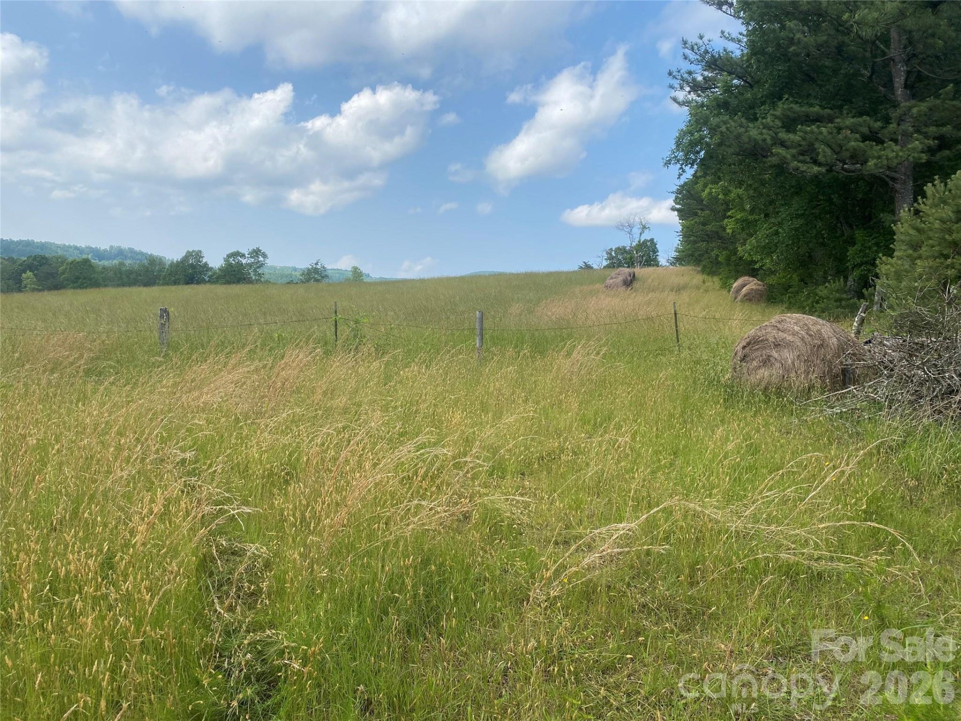 00 Summer Road #20.44 Acres - Photo 4