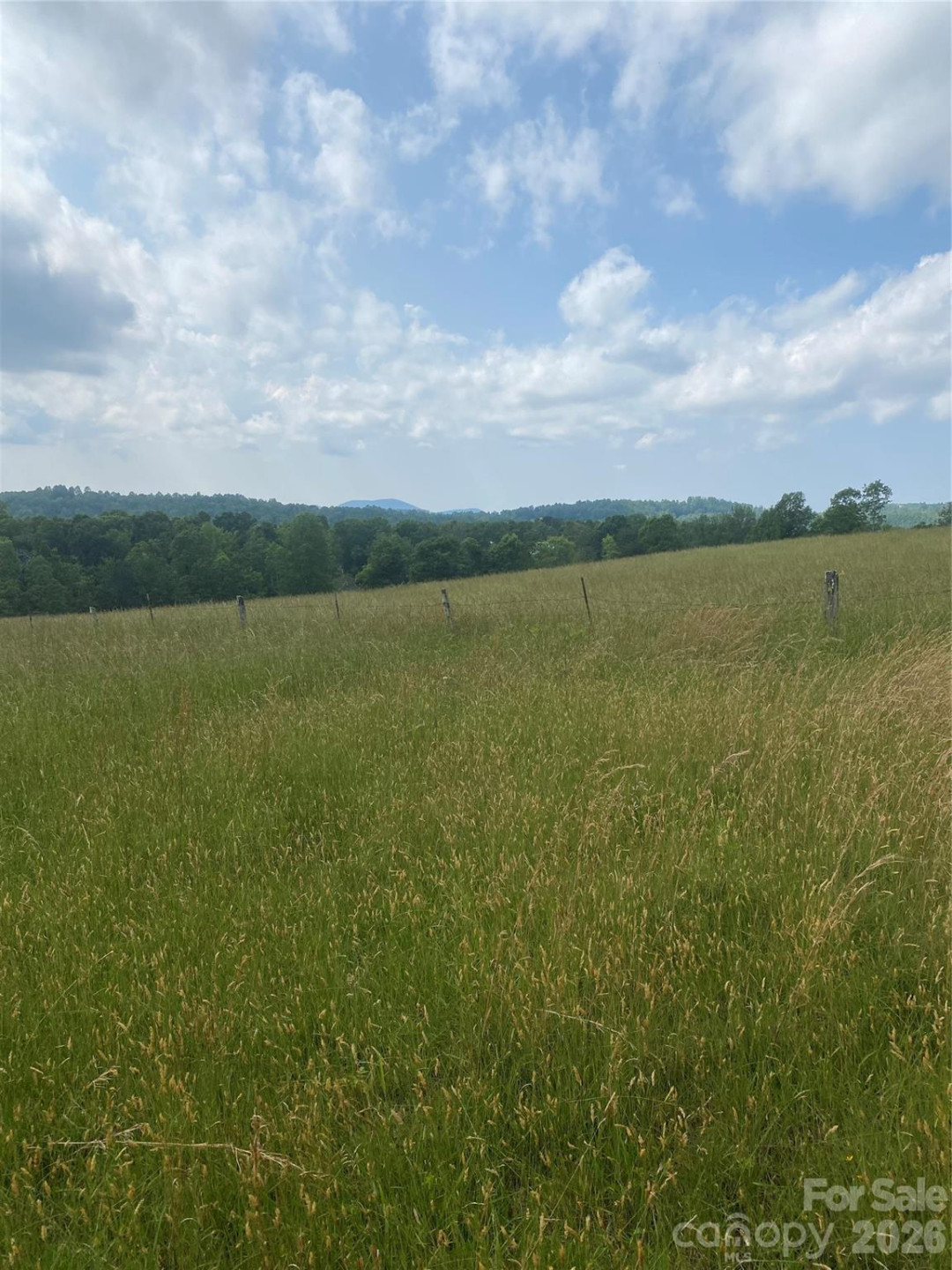 00 Summer Road #20.44 Acres - Photo 8