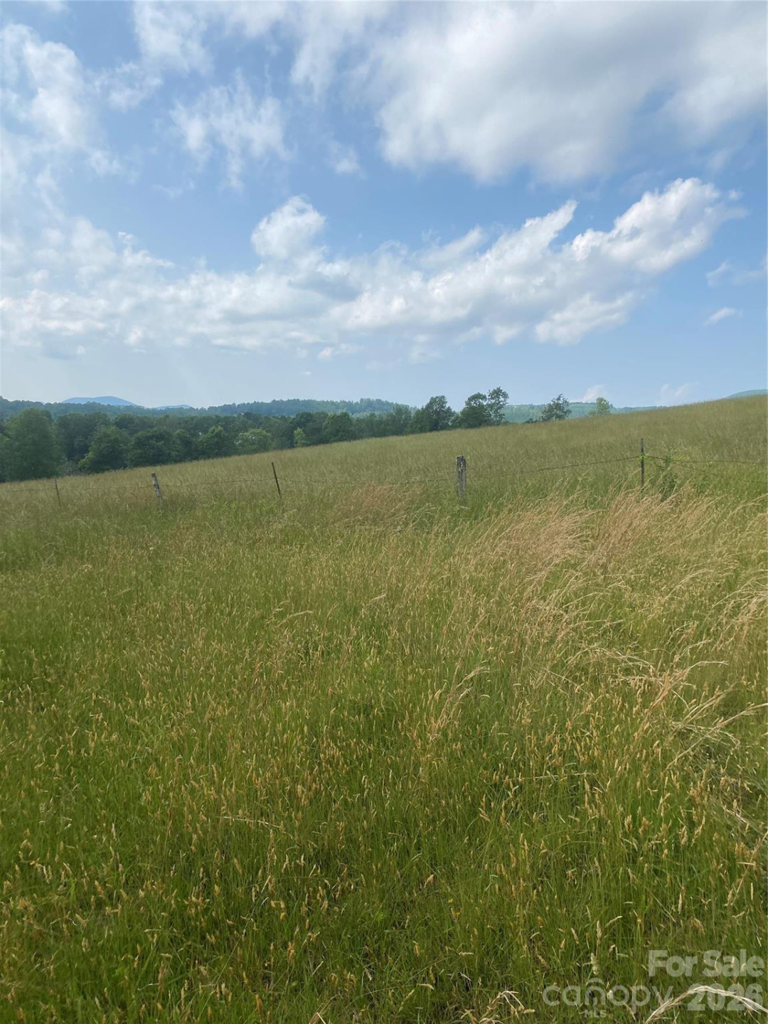 00 Summer Road #20.44 Acres - Photo 9