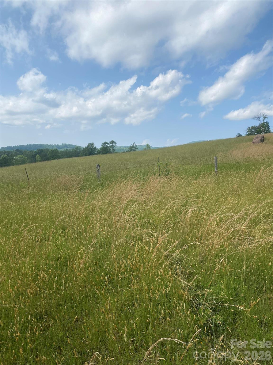00 Summer Road #20.44 Acres - Photo 10
