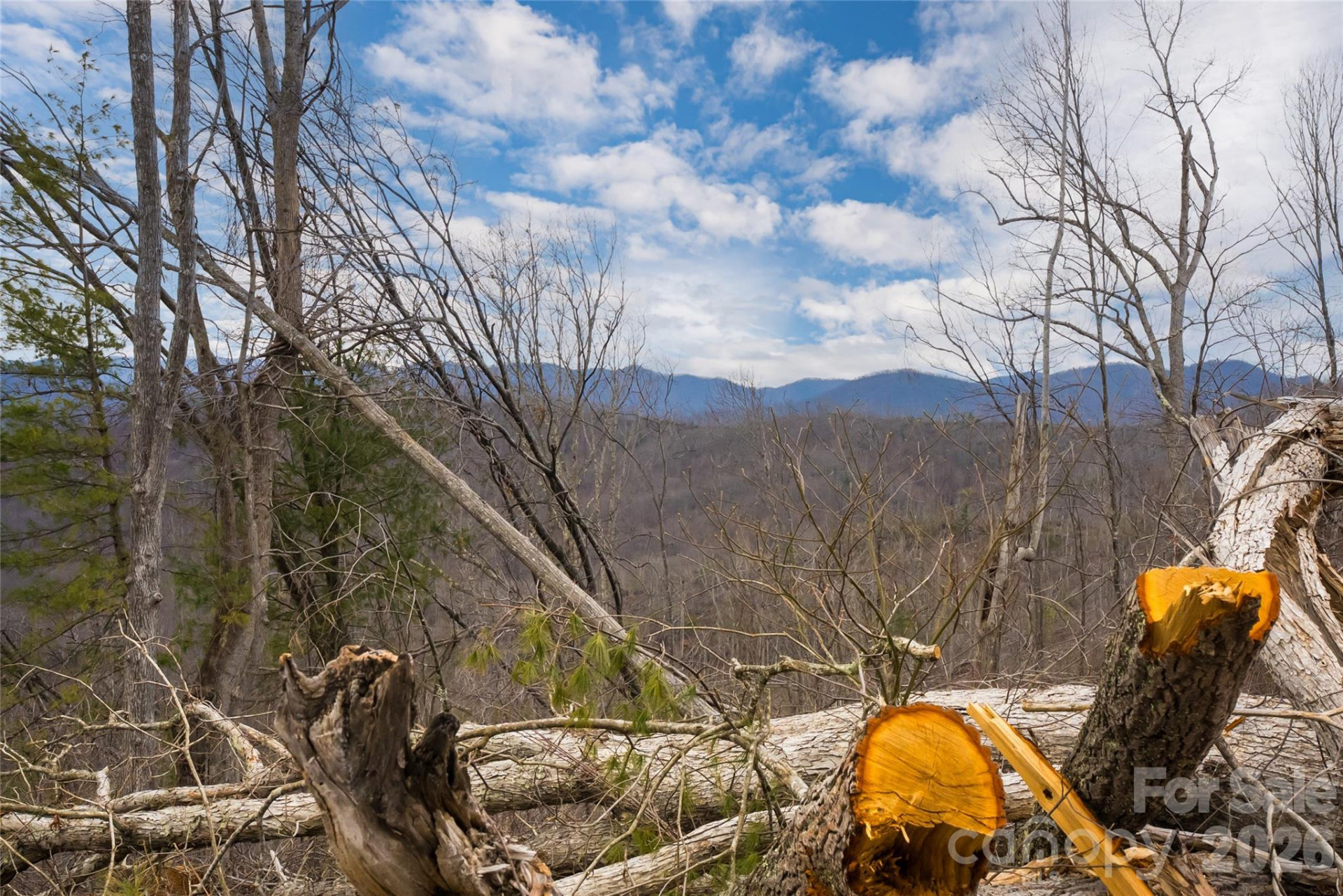 99999 Elk Mountain Scenic Highway #1 & 2 - Photo 13