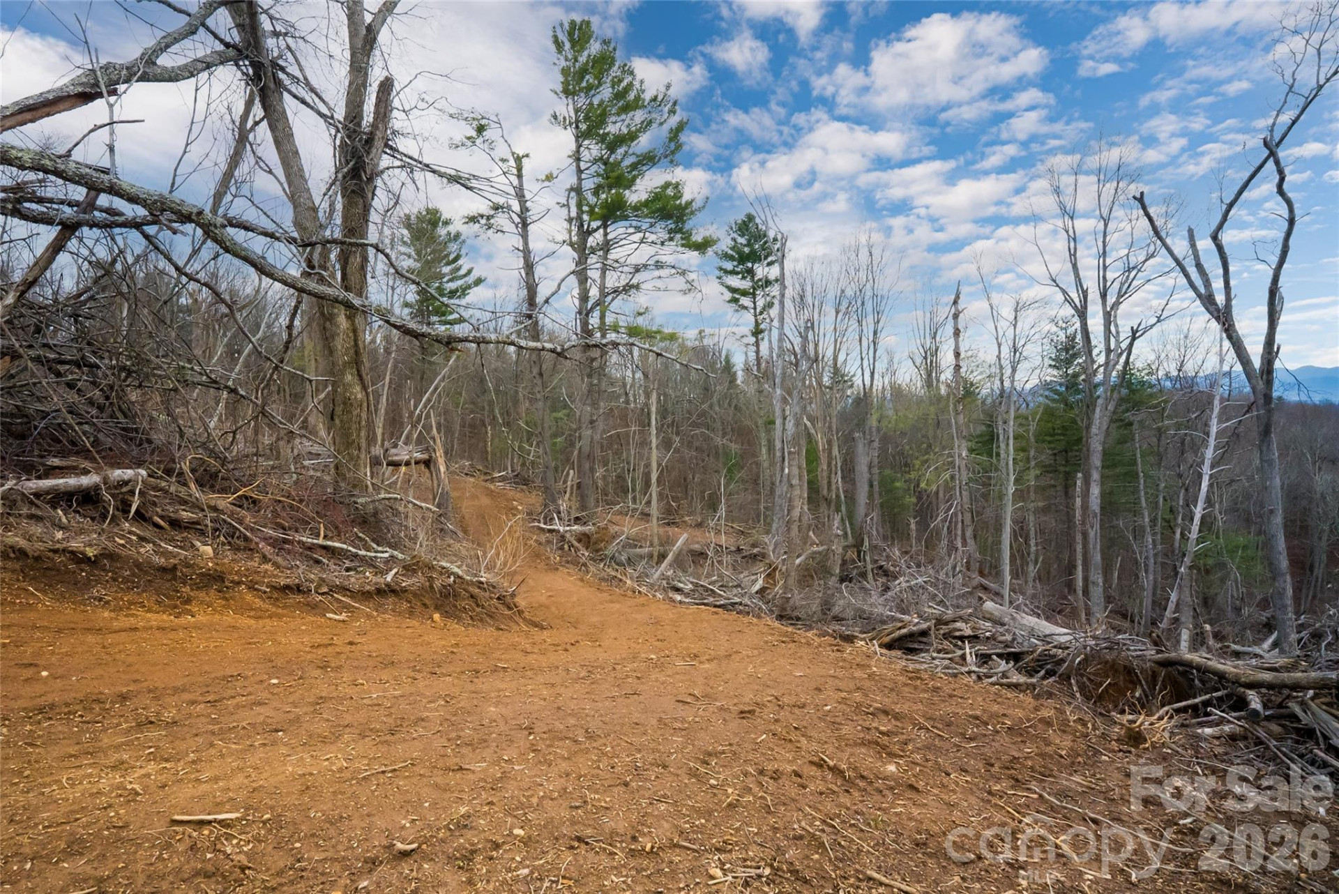 99999 Elk Mountain Scenic Highway #1 & 2 - Photo 14