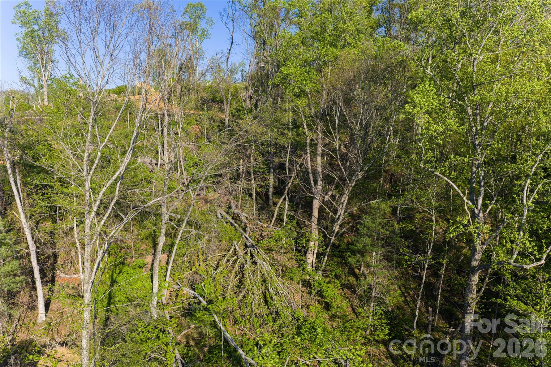 99999 Elk Mountain Scenic Highway #1 & 2 - Photo 49