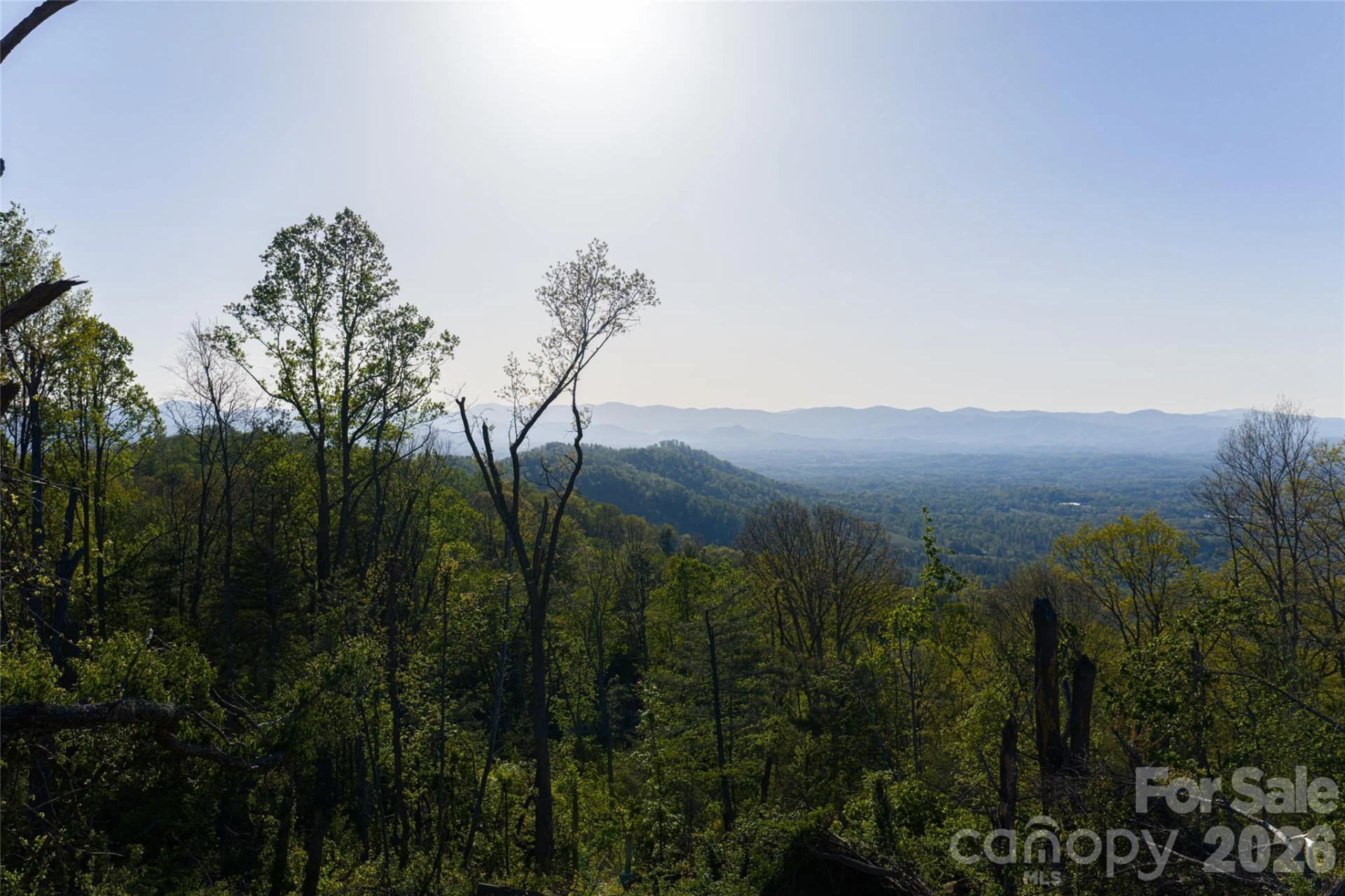 99999 Elk Mountain Scenic Highway #1 & 2 - Photo 52