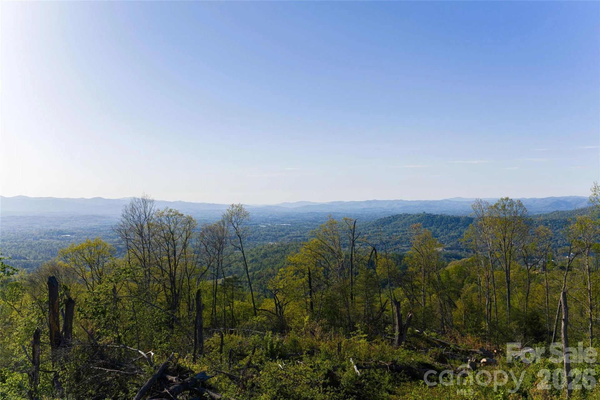 99999 Elk Mountain Scenic Highway #1 & 2 - Photo 53