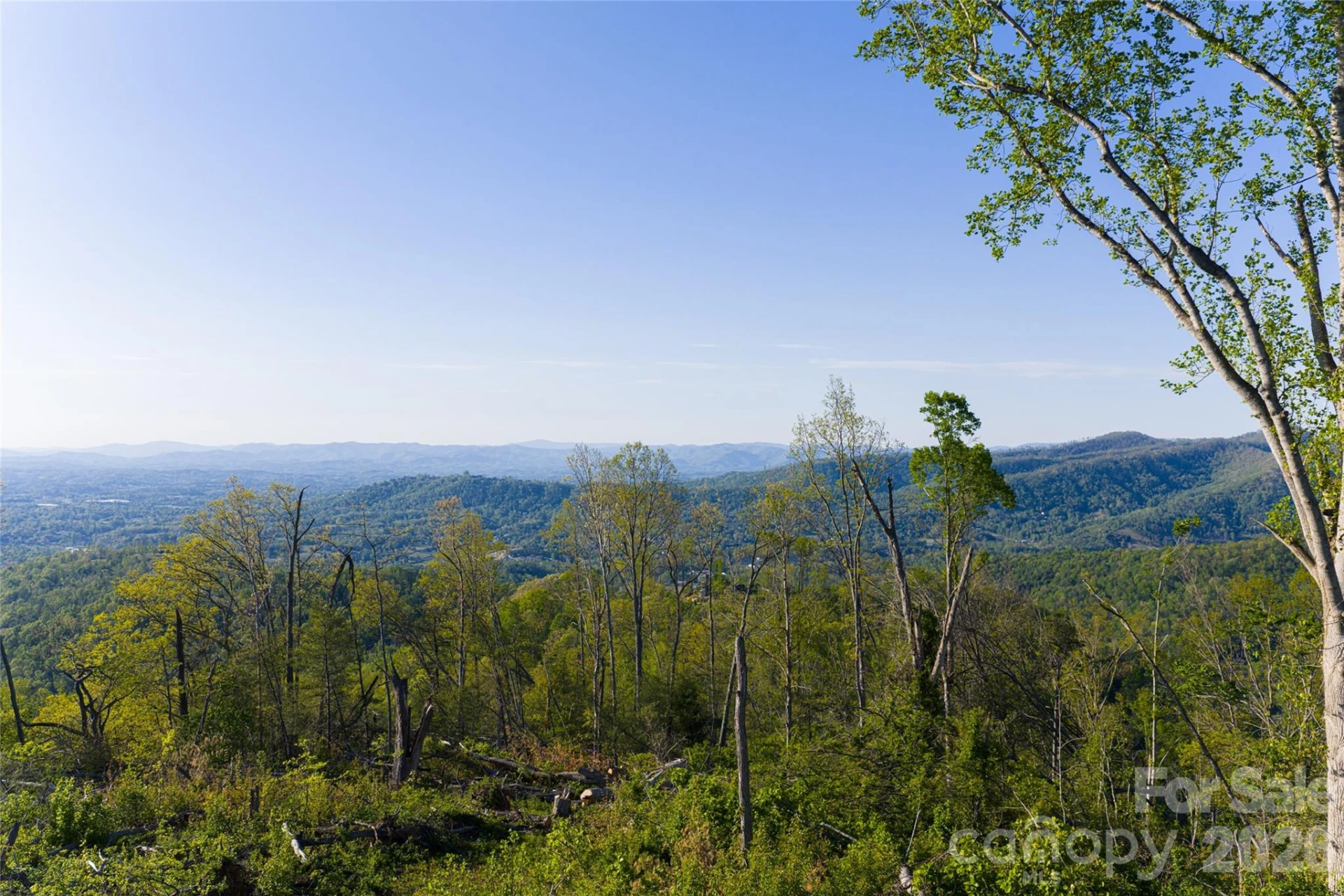 99999 Elk Mountain Scenic Highway #1 & 2 - Photo 54