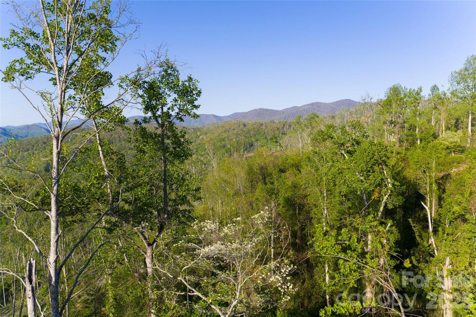 99999 Elk Mountain Scenic Highway #1 & 2 - Photo 57