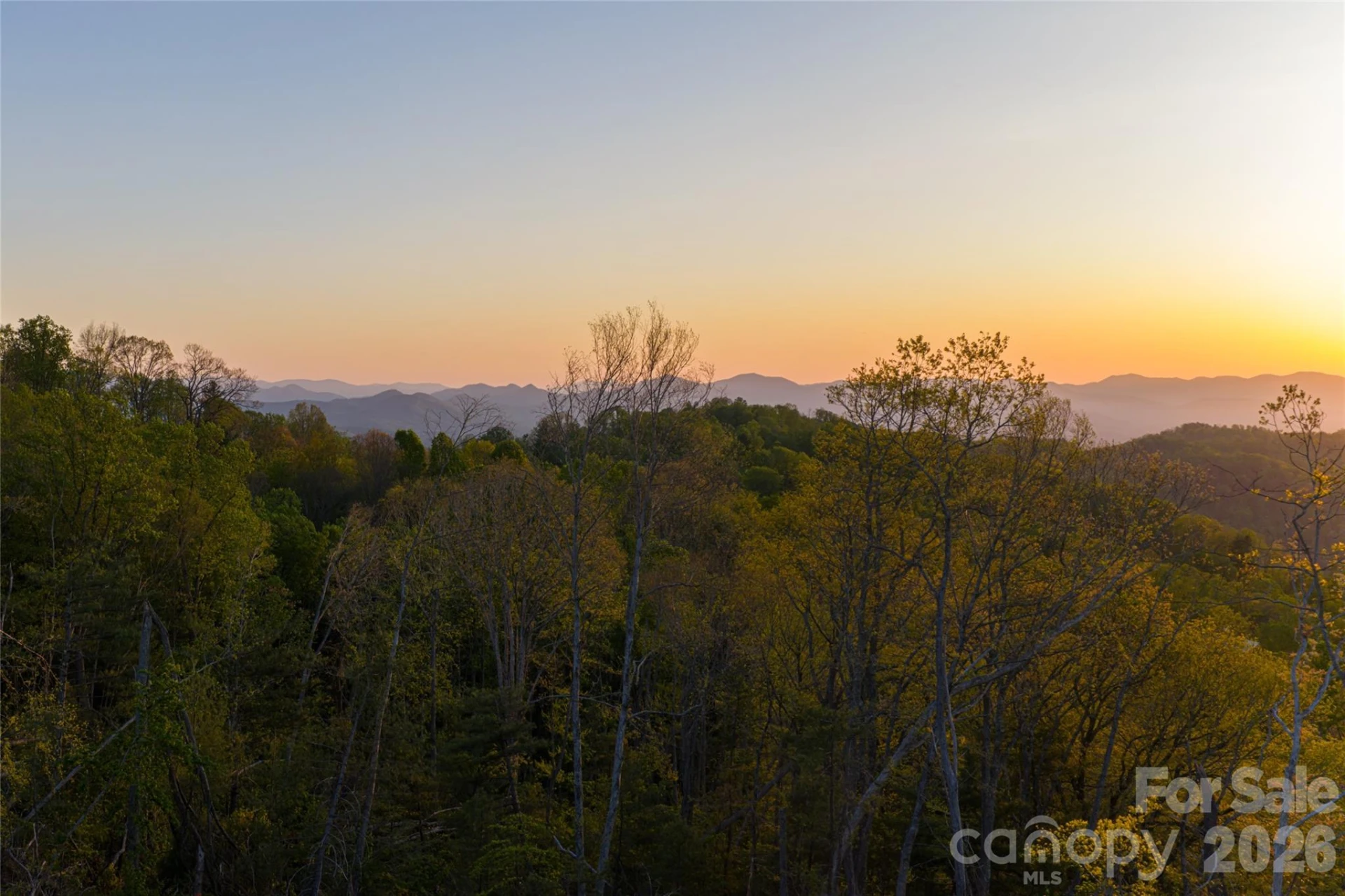 99999 Elk Mountain Scenic Highway #1 & 2 - Photo 63