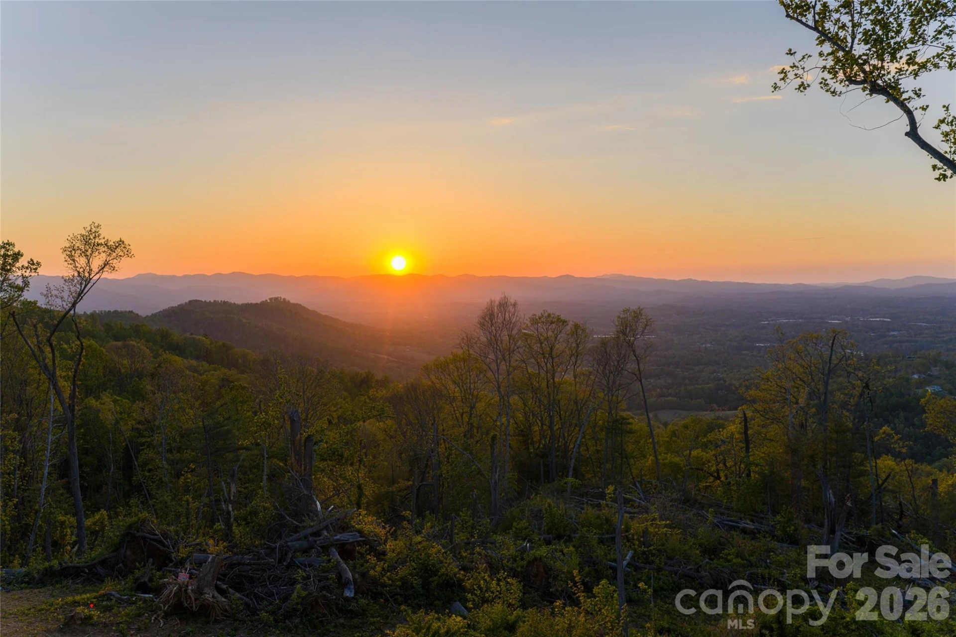 99999 Elk Mountain Scenic Highway #1 & 2 - Photo 68
