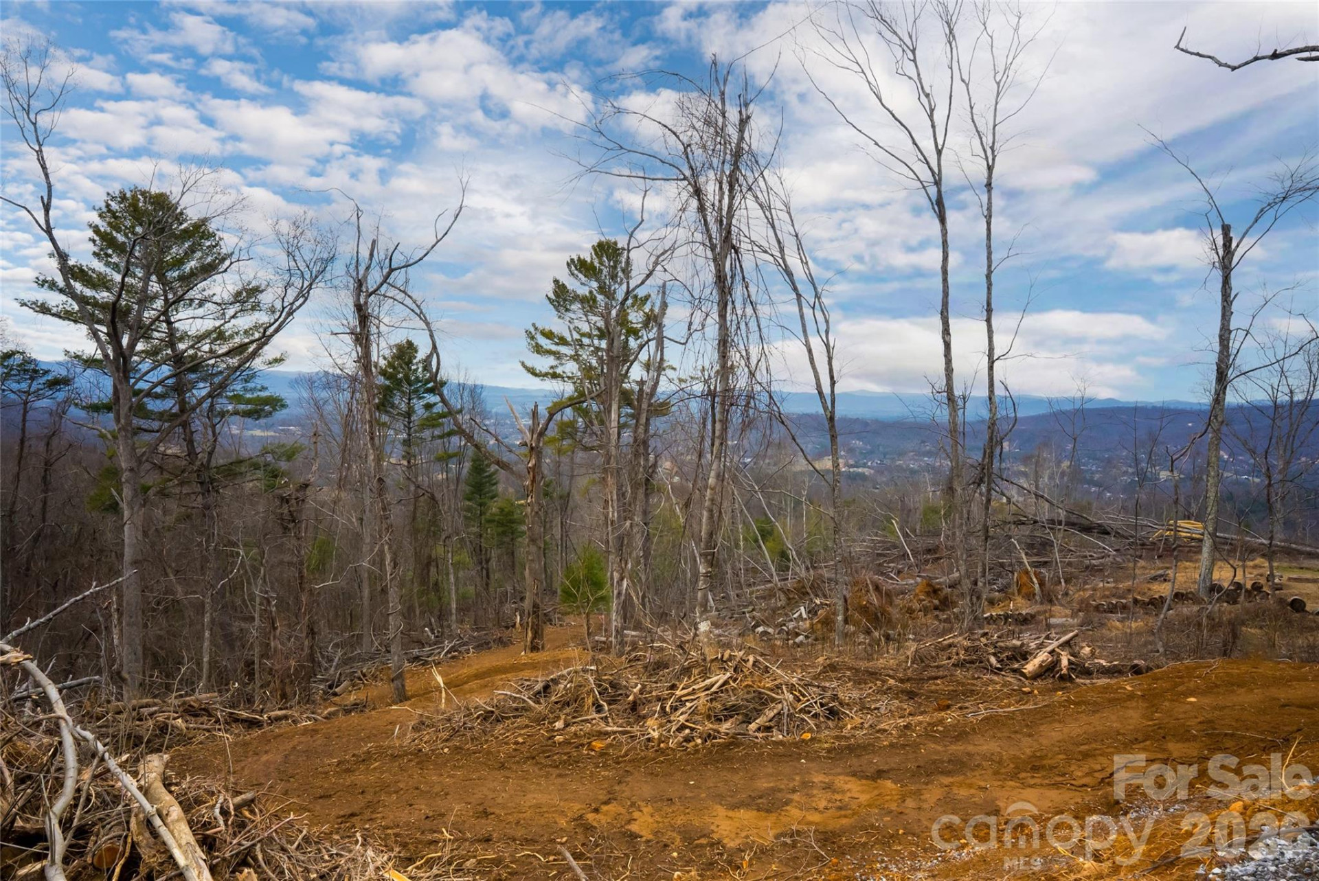 99999 Elk Mountain Scenic Highway #1 & 2 - Photo 8