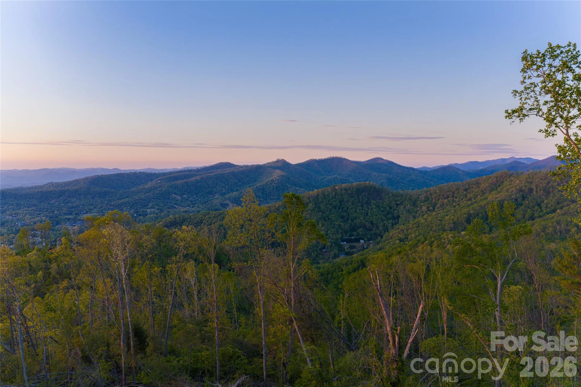 99999 Elk Mountain Scenic Highway #1 & 2 - Photo 16