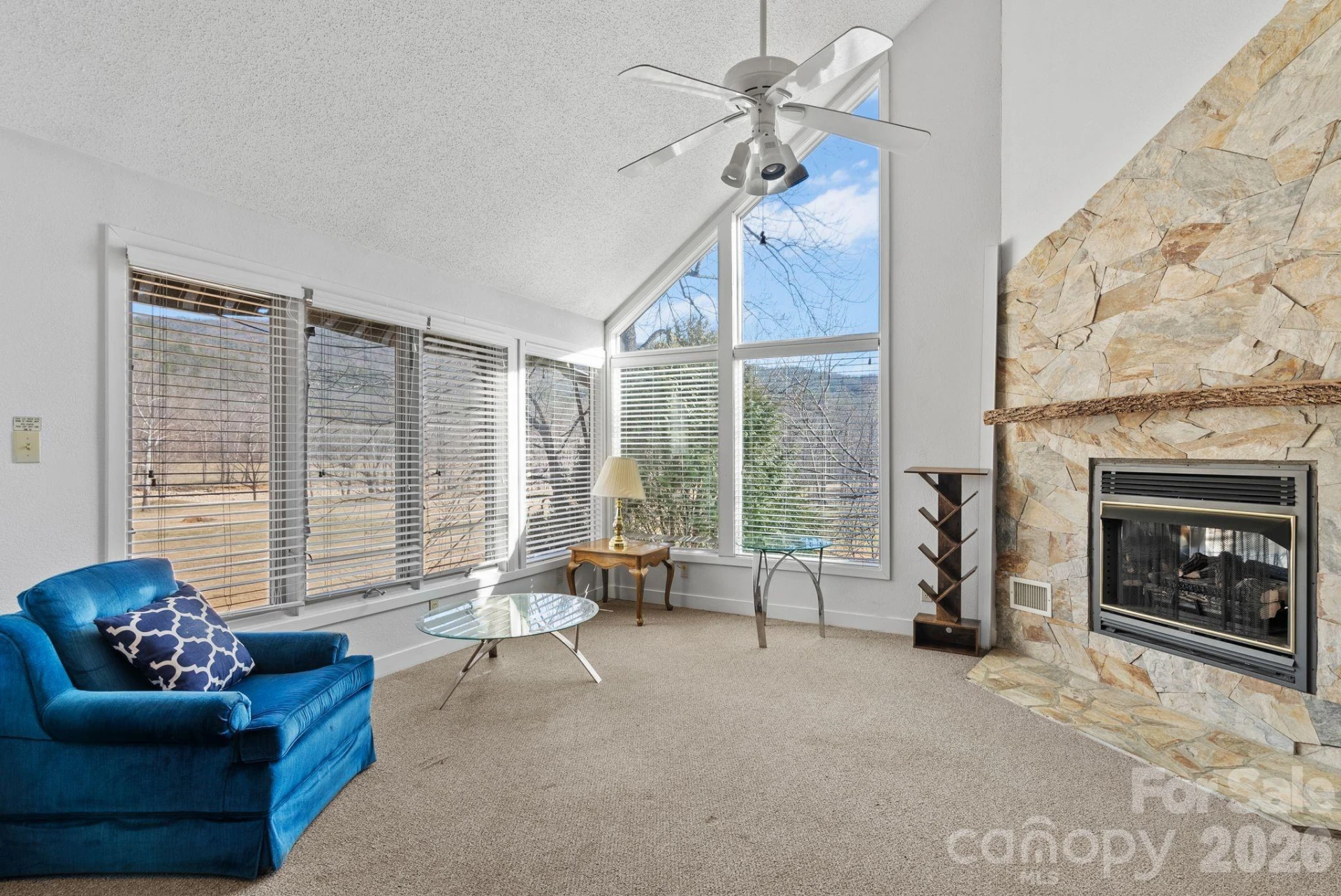 299 Blue Ridge Drive #3 - Photo 4
