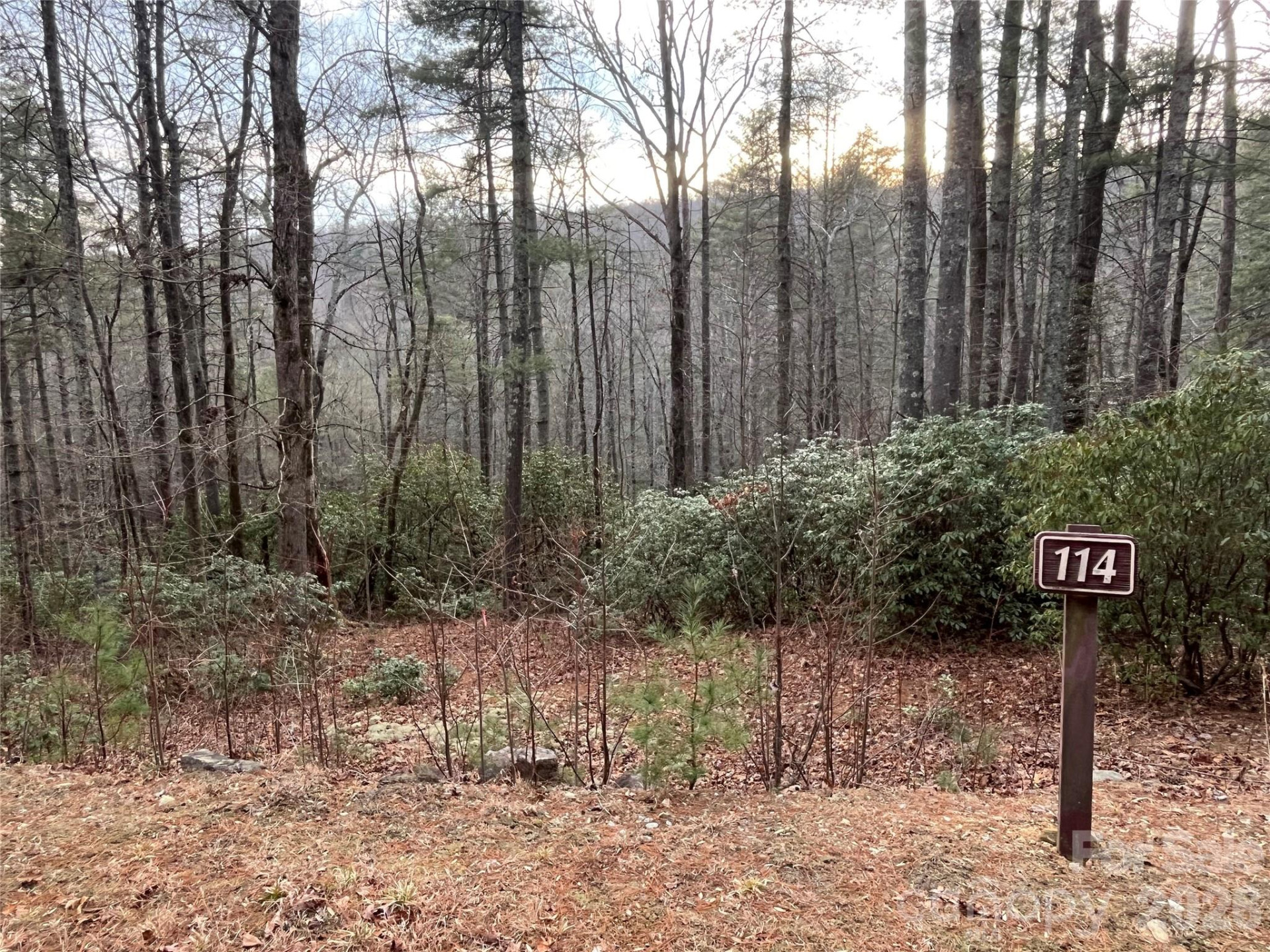 Lot 114 Huckleberry Ridge Lane - Photo 2