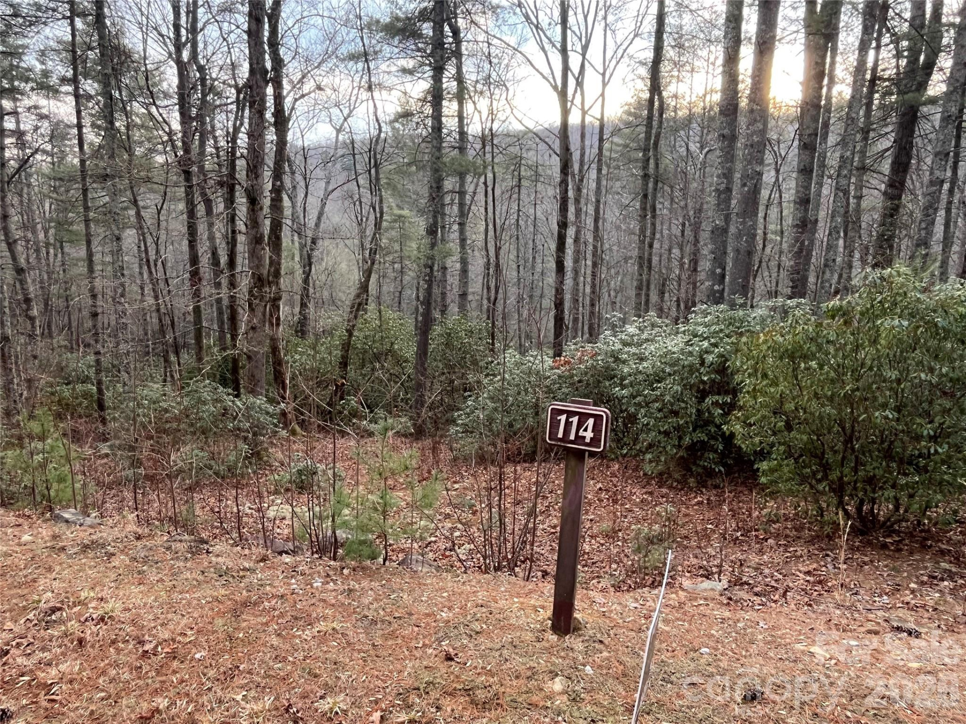 Lot 114 Huckleberry Ridge Lane - Photo 3
