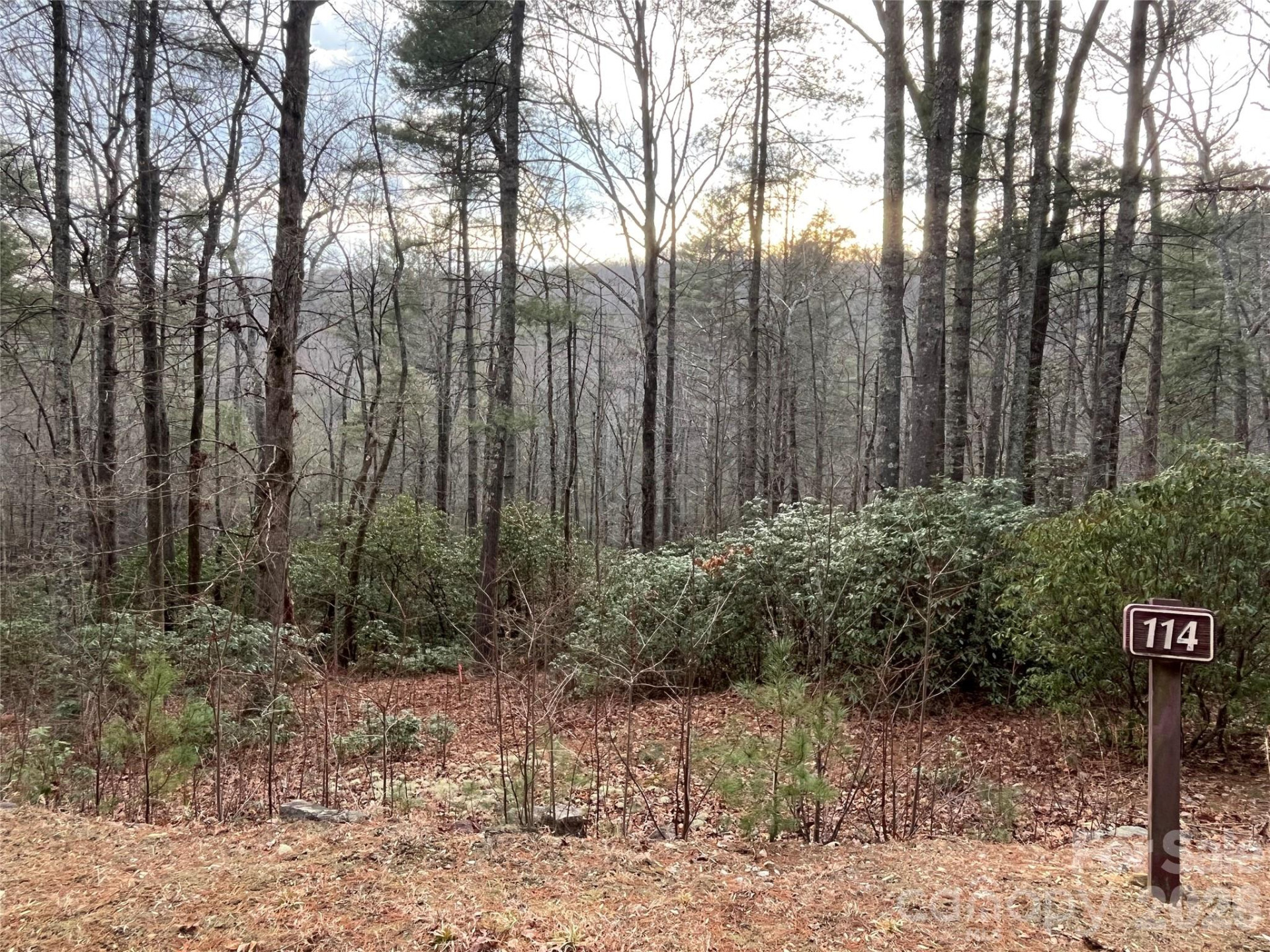 Lot 114 Huckleberry Ridge Lane - Photo 4