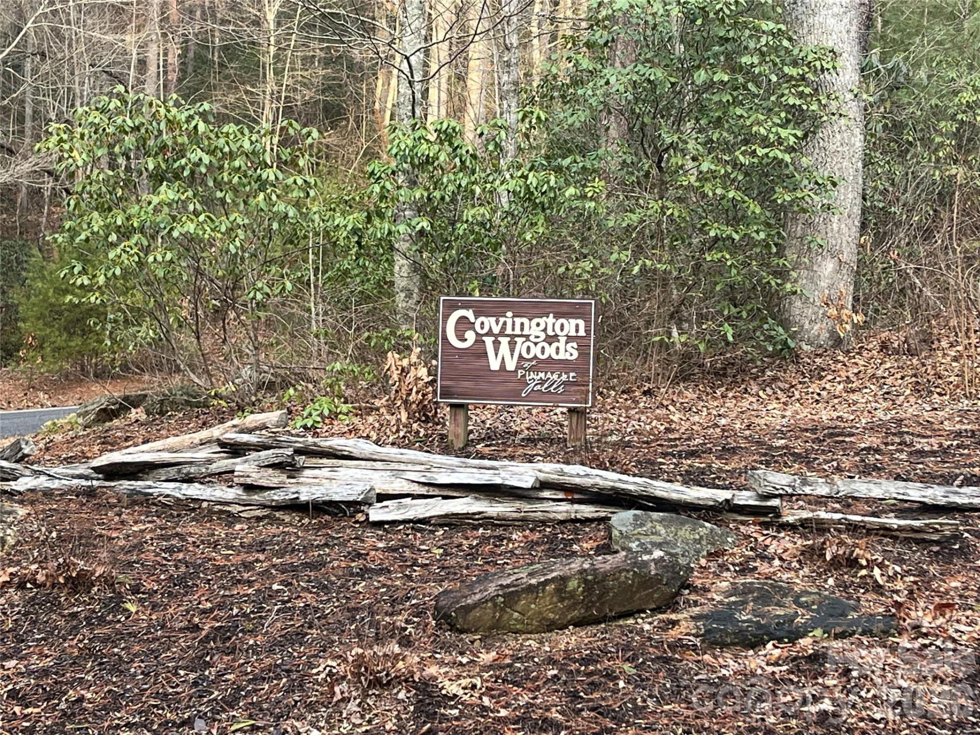 Lot 114 Huckleberry Ridge Lane - Photo 6