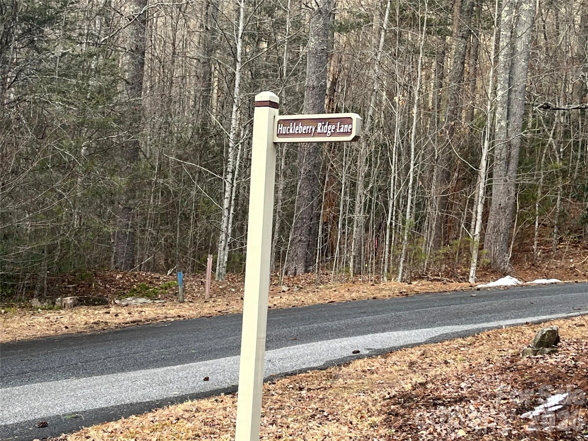 Lot 114 Huckleberry Ridge Lane - Photo 7