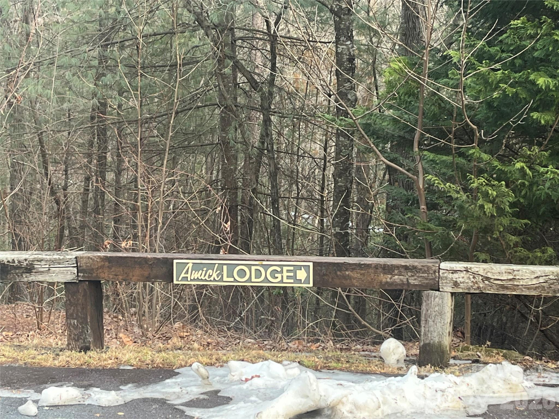 Lot 114 Huckleberry Ridge Lane - Photo 9