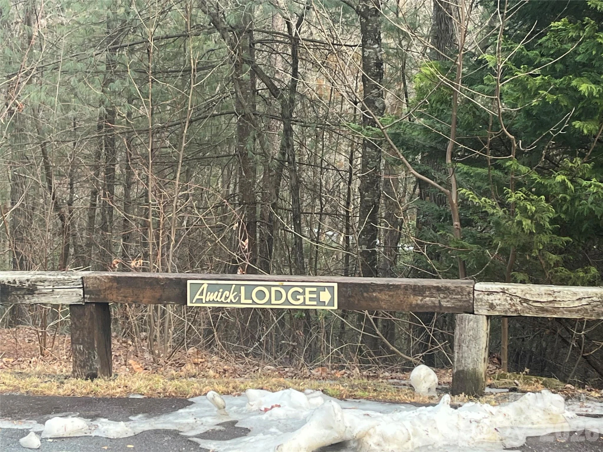 Lot 114 Huckleberry Ridge Lane - Photo 9