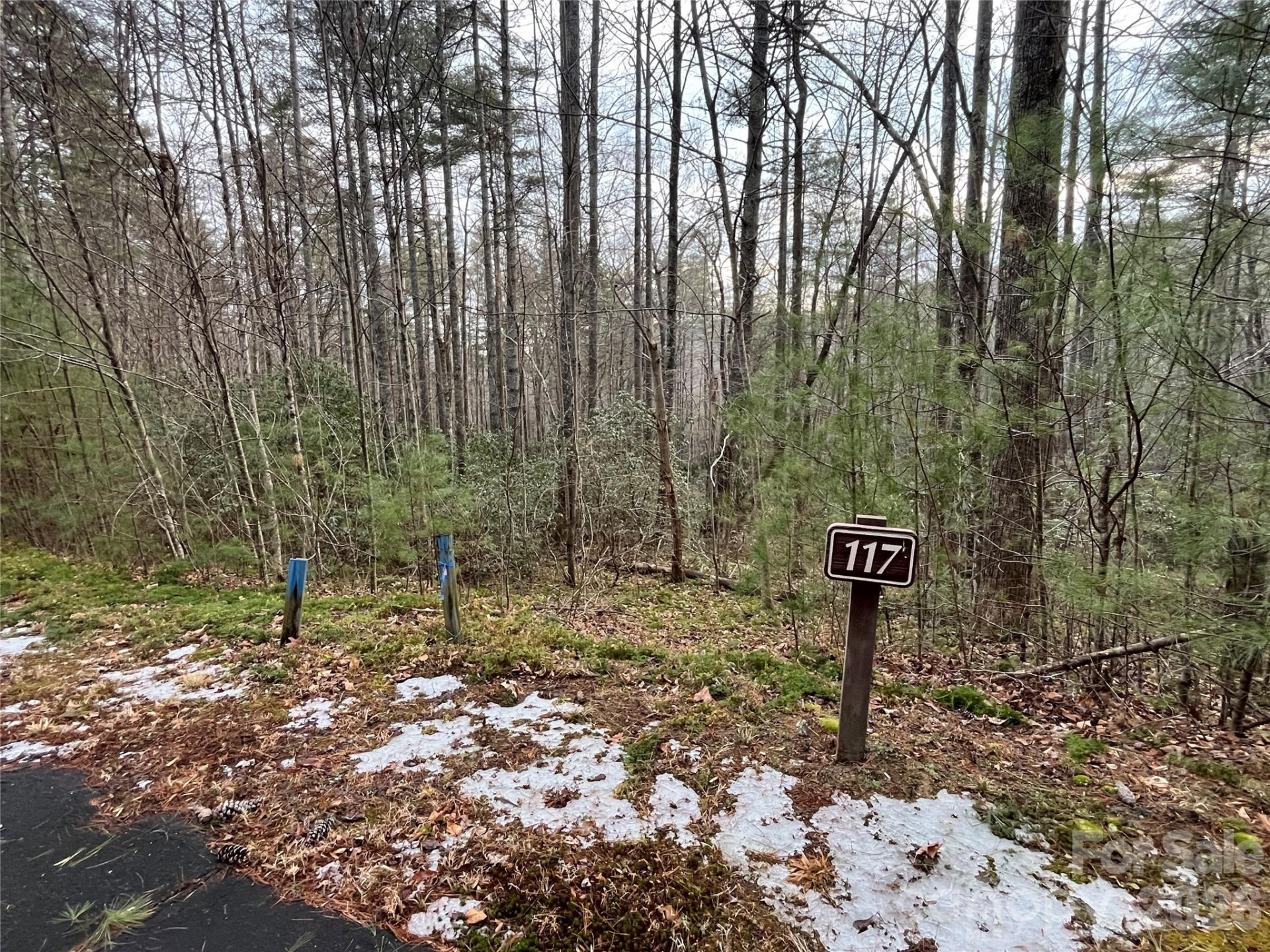 Lot 117 Huckleberry Ridge Lane - Photo 2