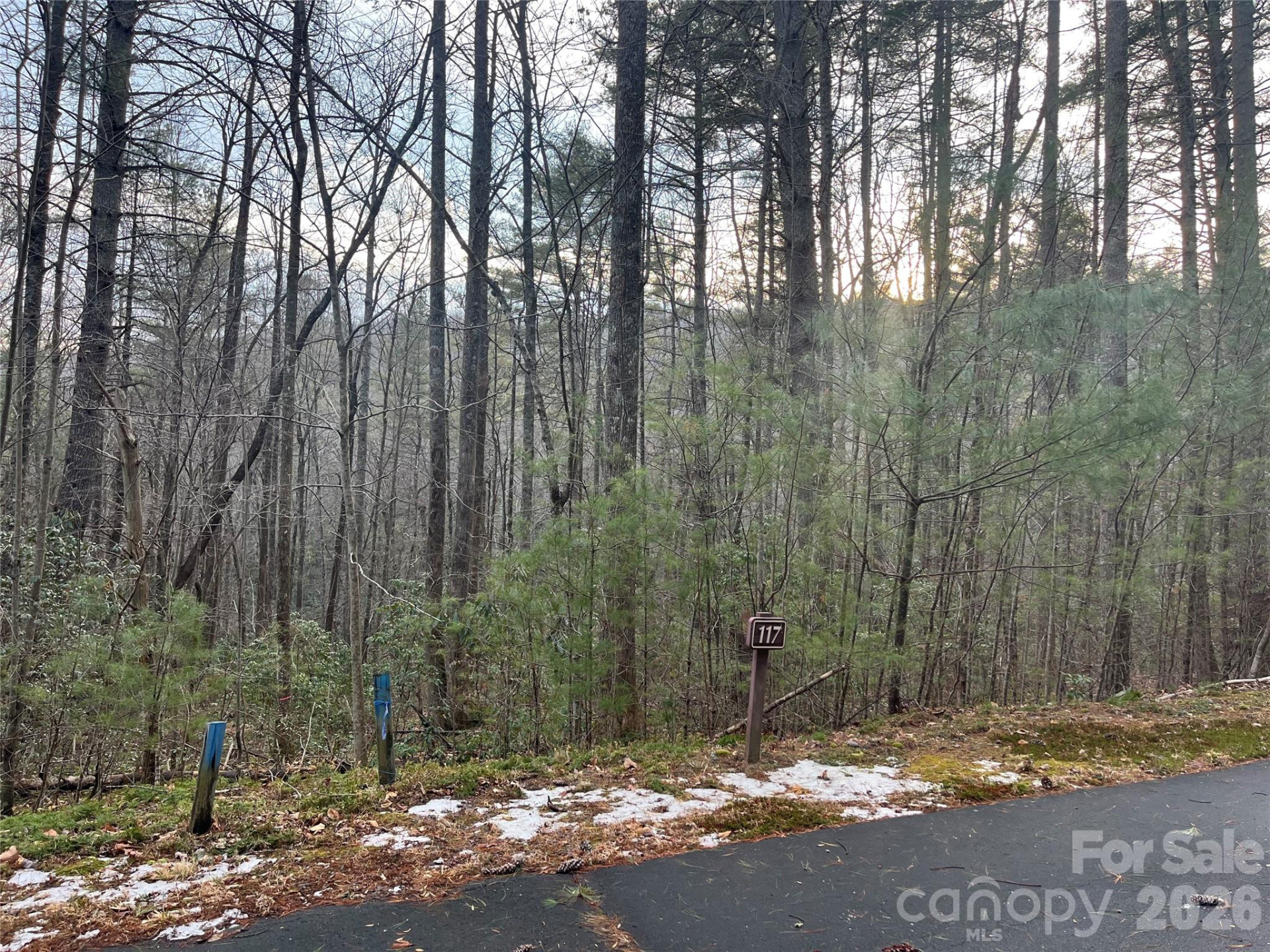 Lot 117 Huckleberry Ridge Lane - Photo 3