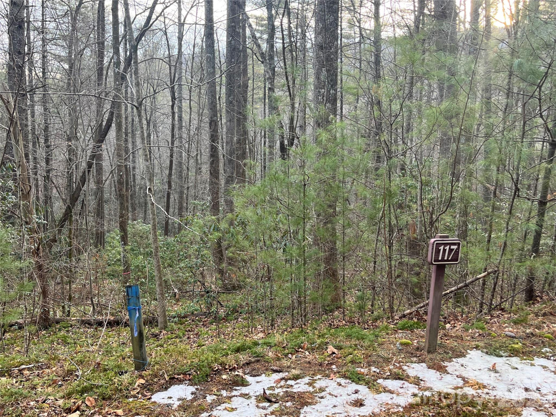 Lot 117 Huckleberry Ridge Lane - Photo 4