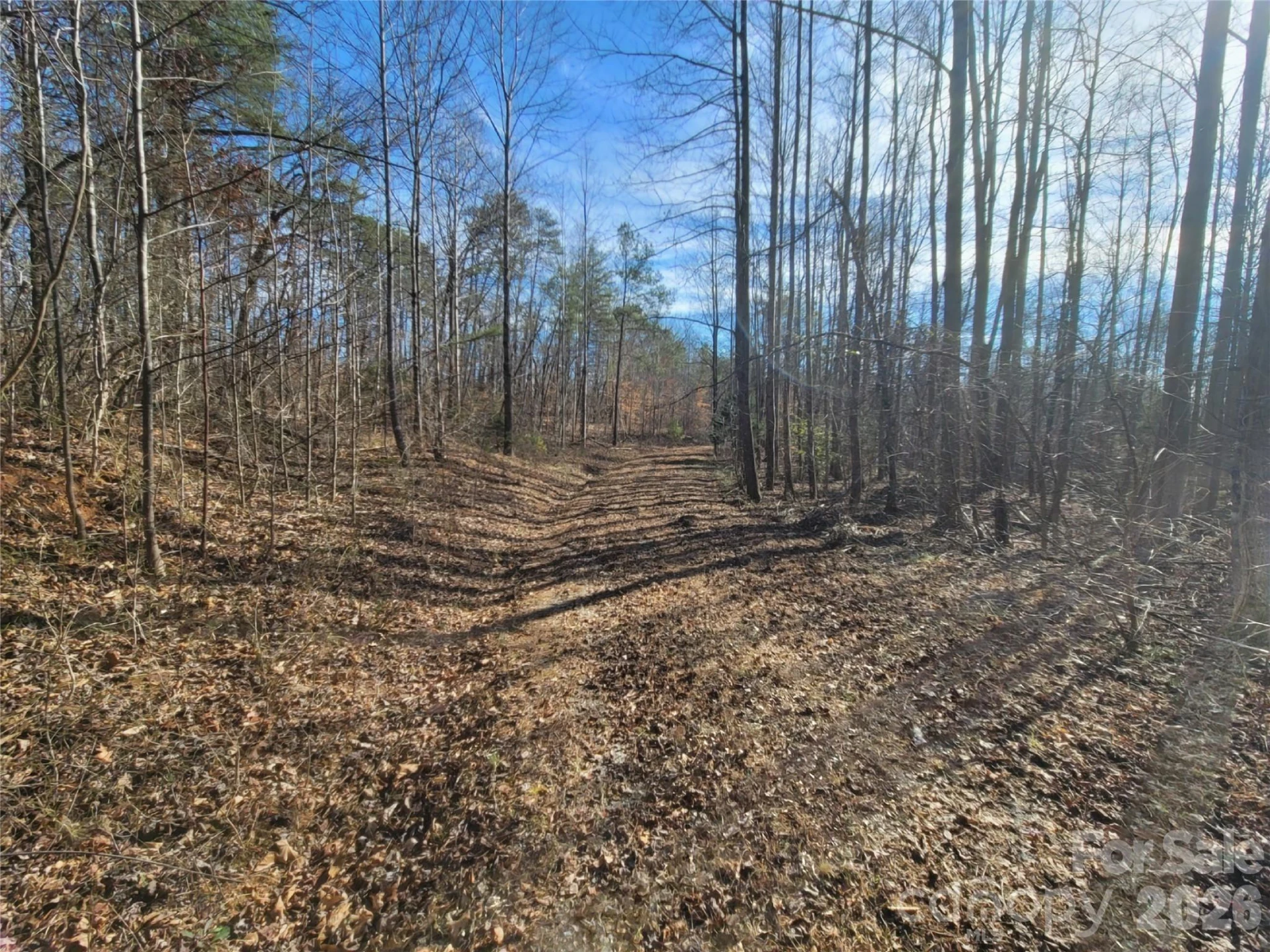 0 Smith Waldrop Road - Photo 5