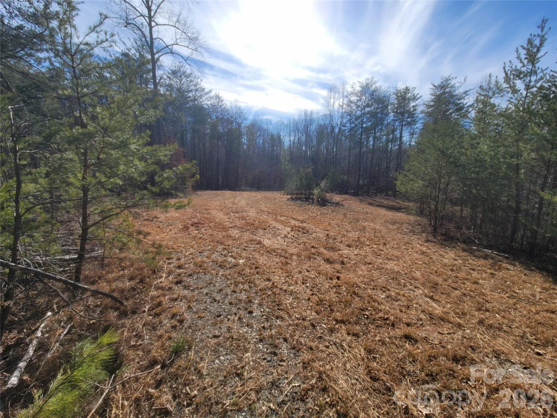 0 Smith Waldrop Road - Photo 6