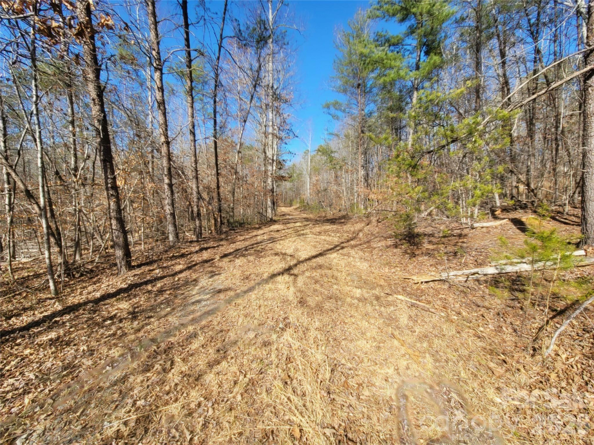 0 Smith Waldrop Road - Photo 6