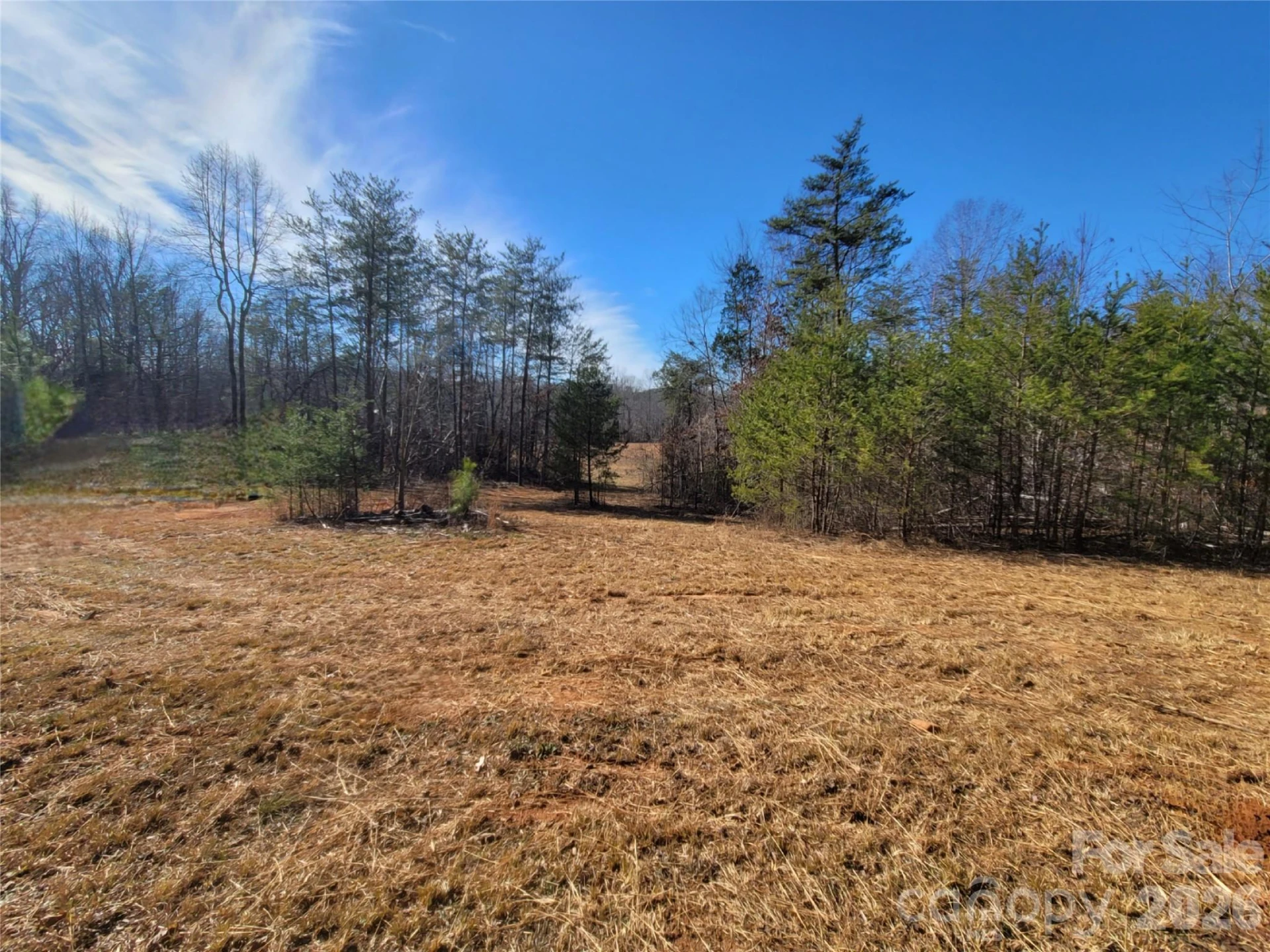 0 Smith Waldrop Road - Photo 8
