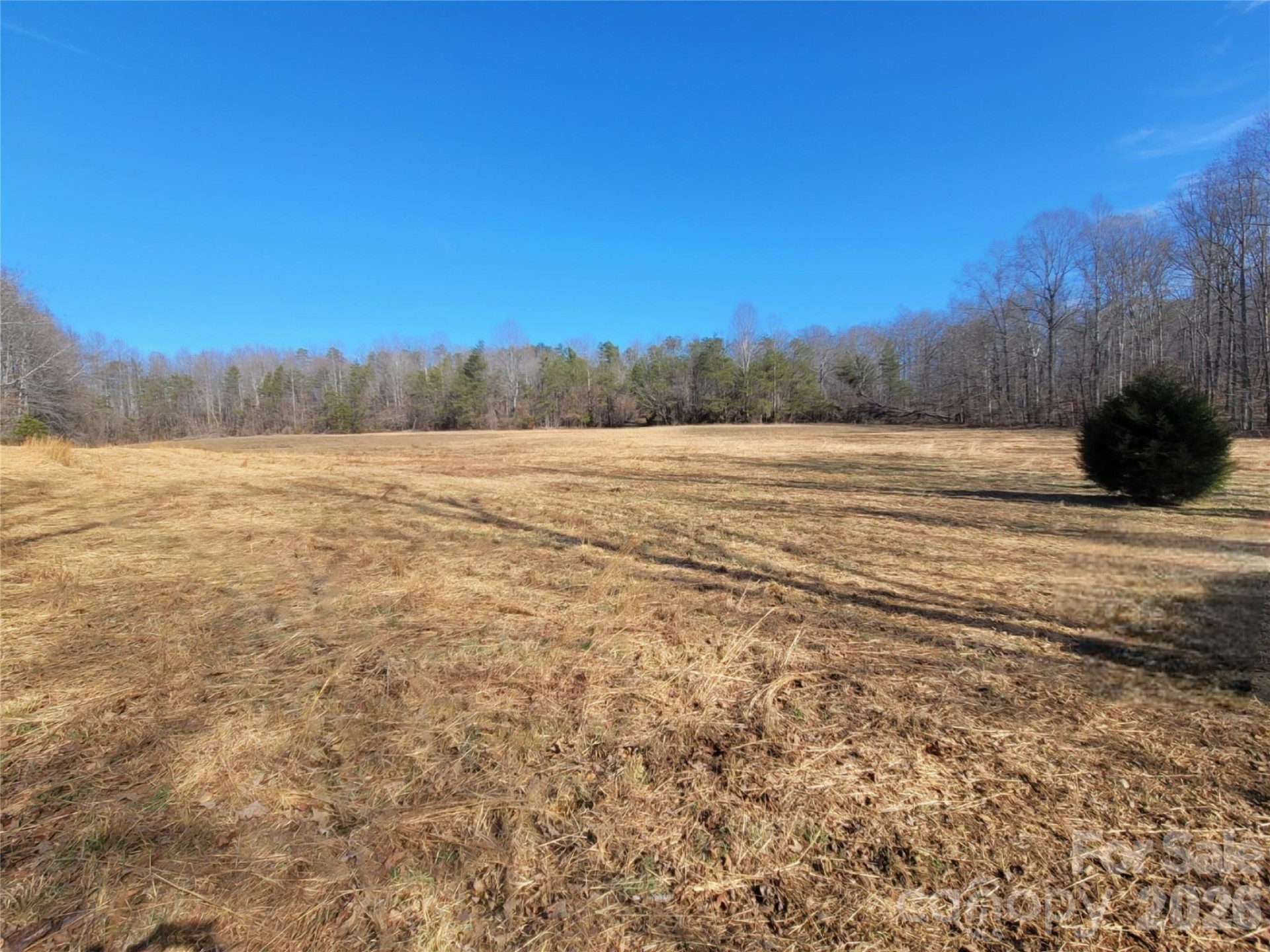 999 Bill Collins Road - Photo 7