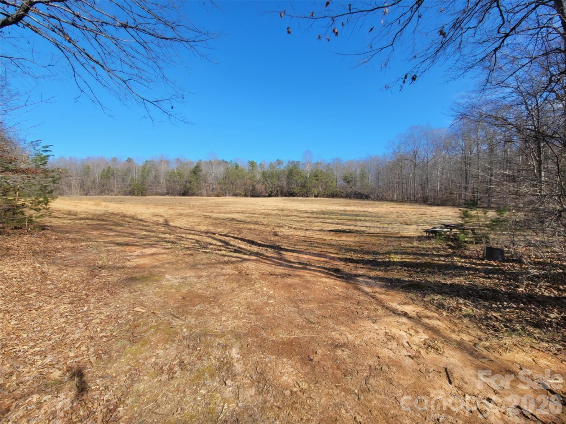 999 Bill Collins Road - Photo 8