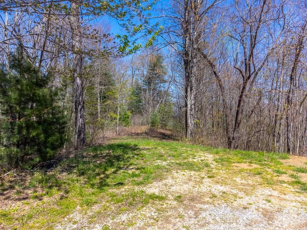 Lot 32 Fontana Trace - Photo 2