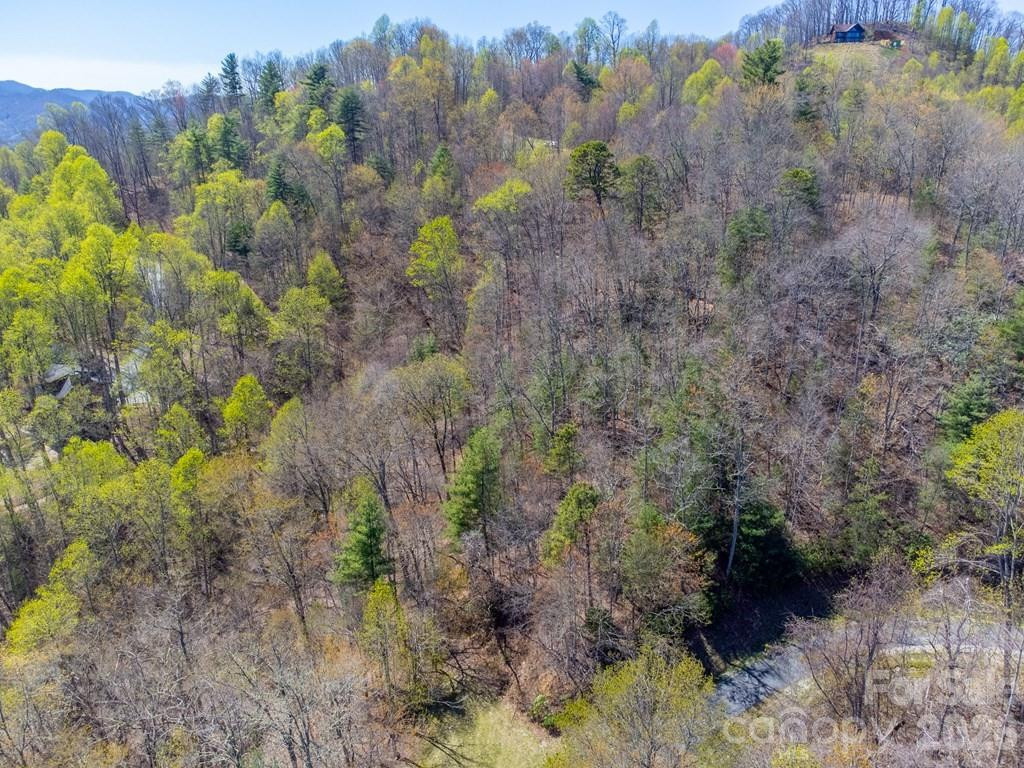 Lot 32 Fontana Trace - Photo 16