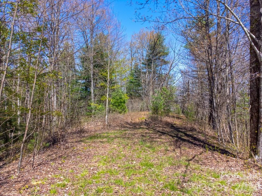 Lot 32 Fontana Trace - Photo 3