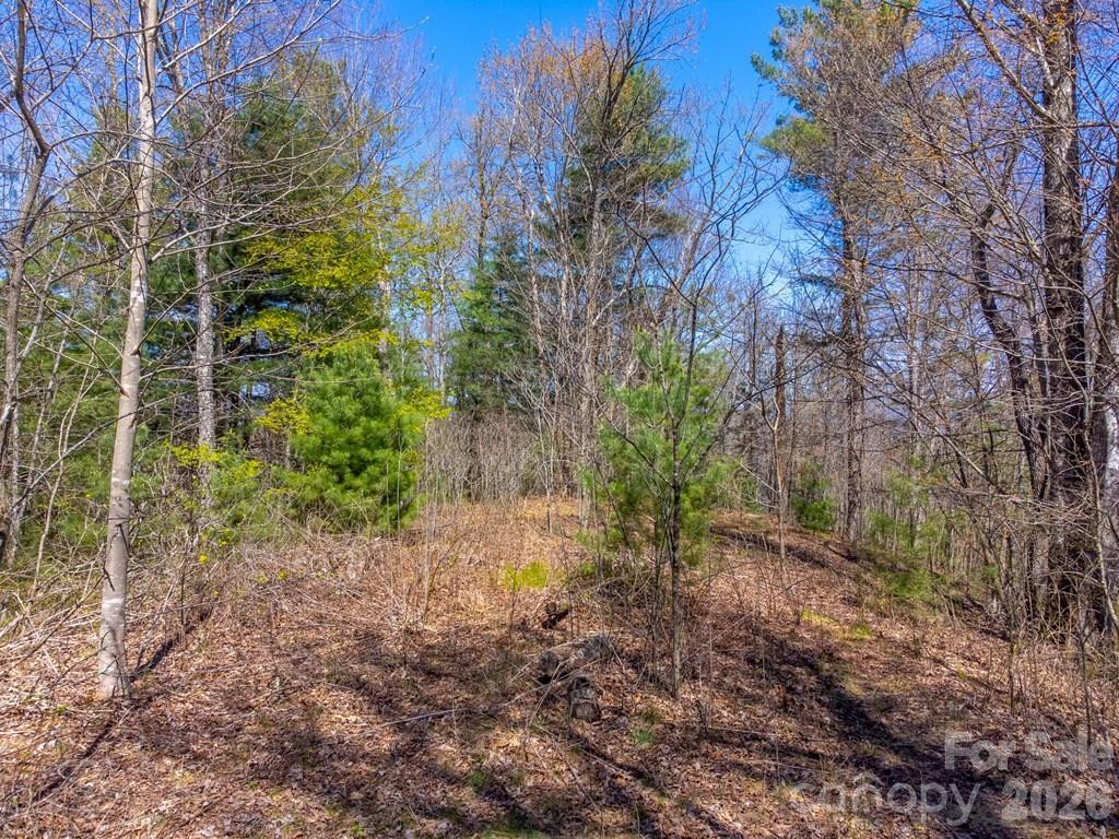 Lot 32 Fontana Trace - Photo 6