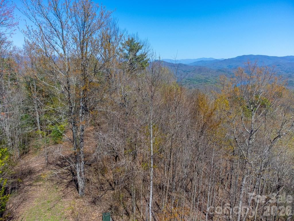 Lot 32 Fontana Trace - Photo 7