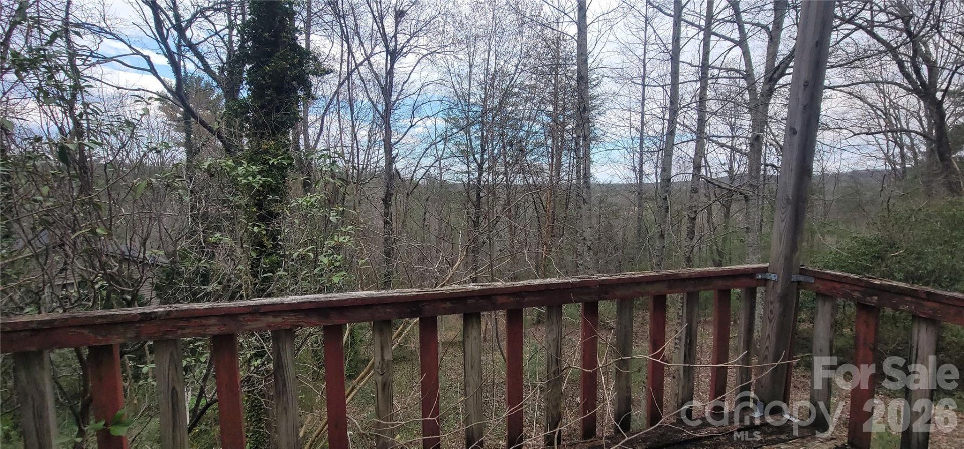 7882 Kinglet Road - Photo 16