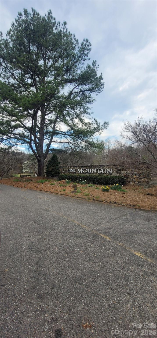 7882 Kinglet Road - Photo 40