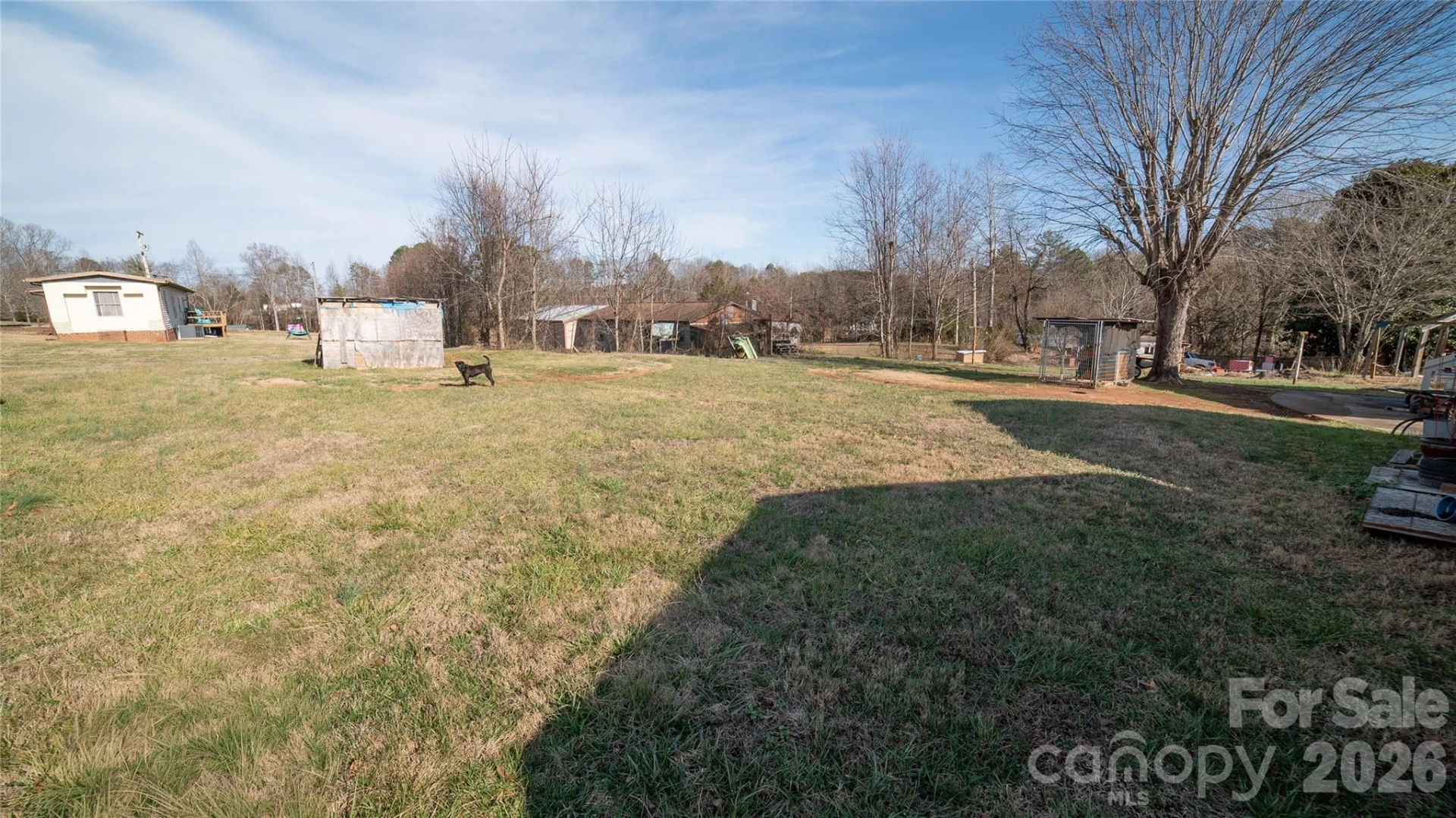 203 Cohen Street - Photo 4